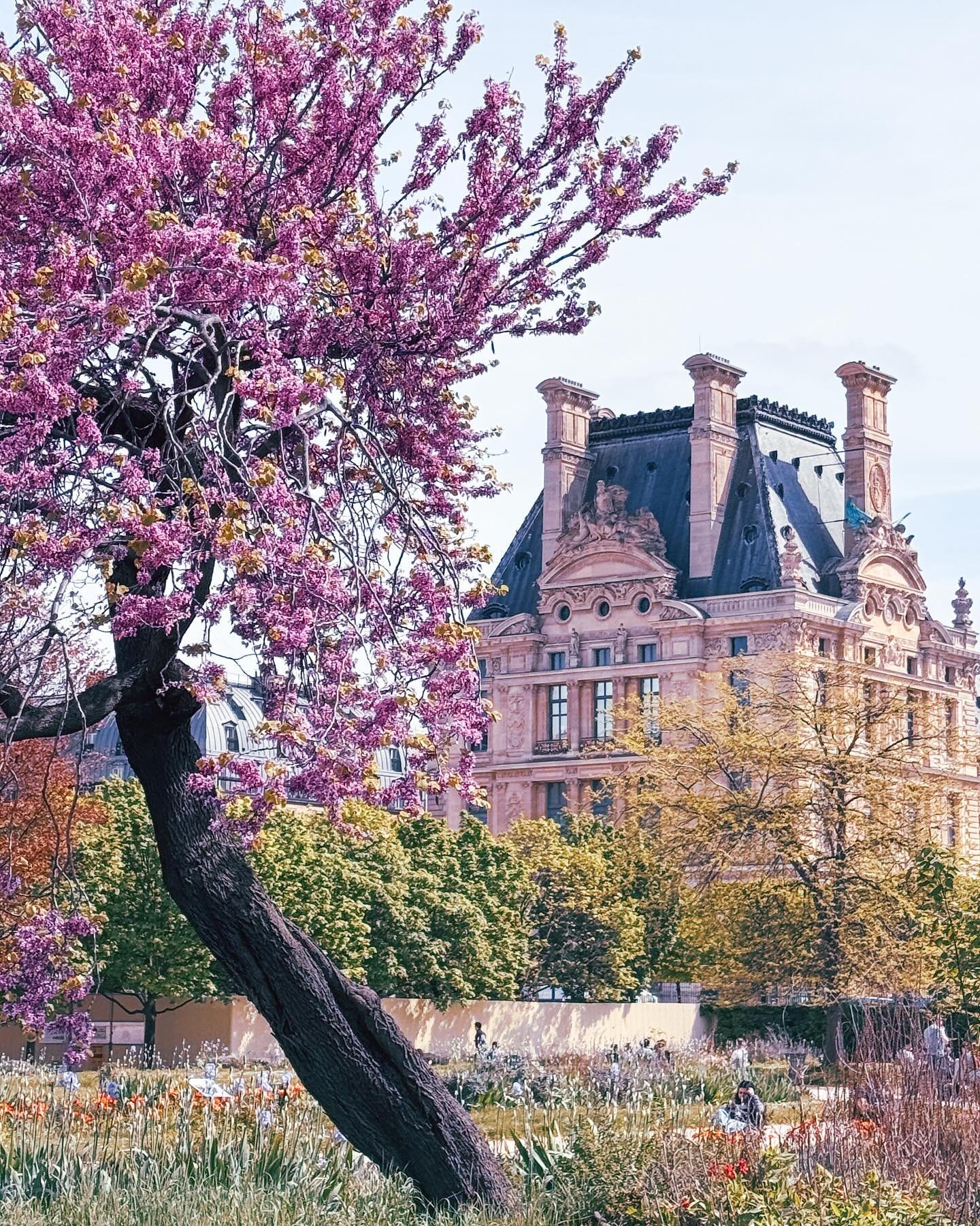 Scenes of spring in Paris.

Wish you were here,
Xoxo