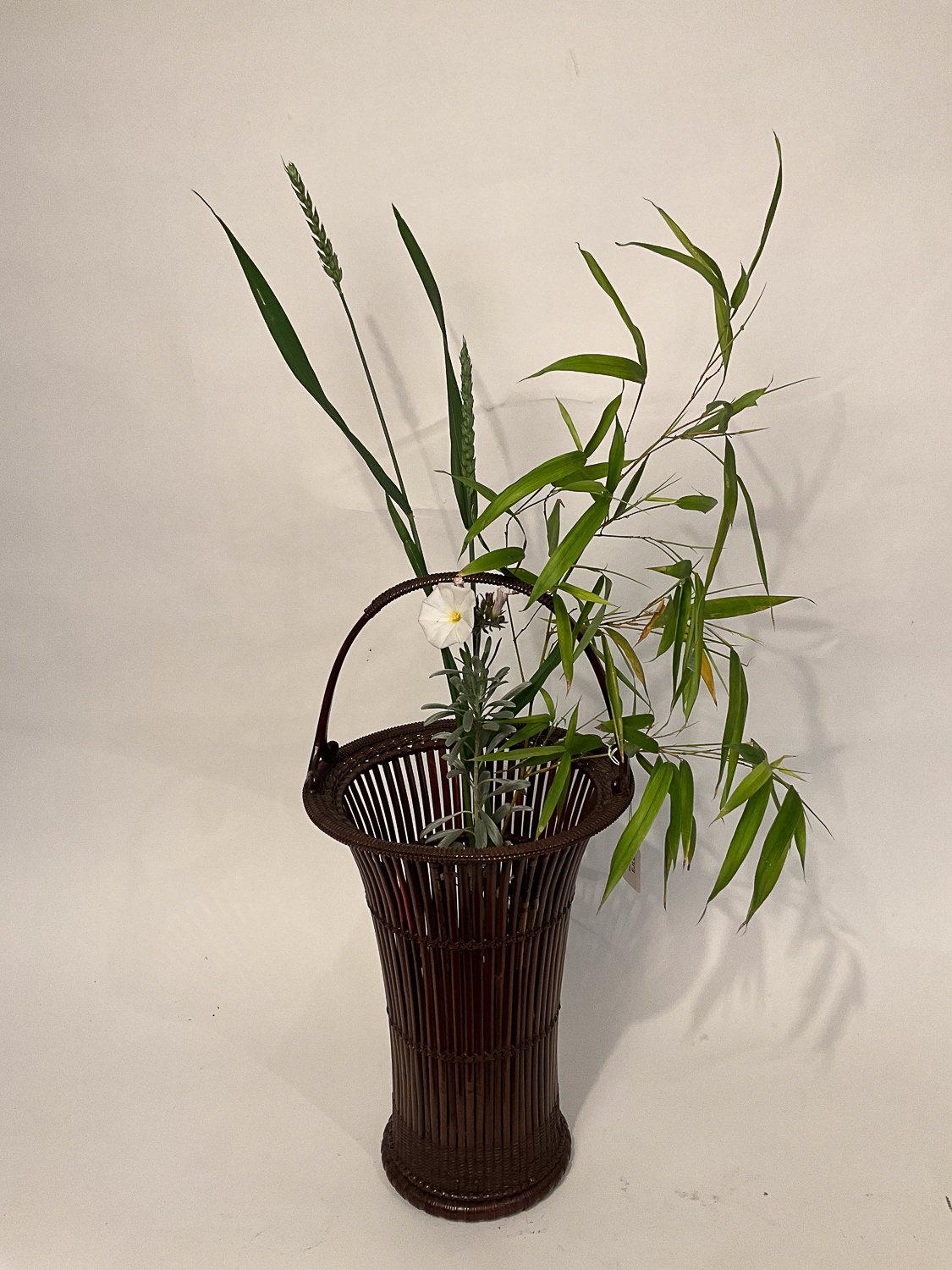 JZ415-EJLL-280-D23x46cm-7.jpg