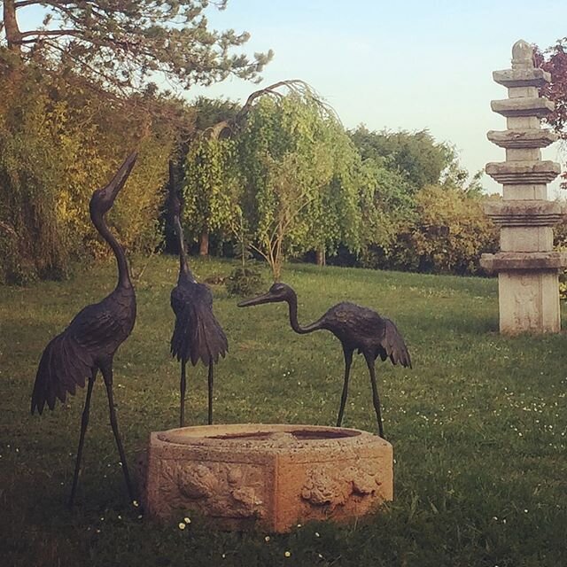 Cr&eacute;er son propre Jardin Zen avec des objets Japonais.
Un spectacle unique, &agrave; d&eacute;couvrir chaque jour chez soi.
.
#thierrygerber #jardinzen #zengarden #zen #gardin #japan #japanslovers #japangardenstyle