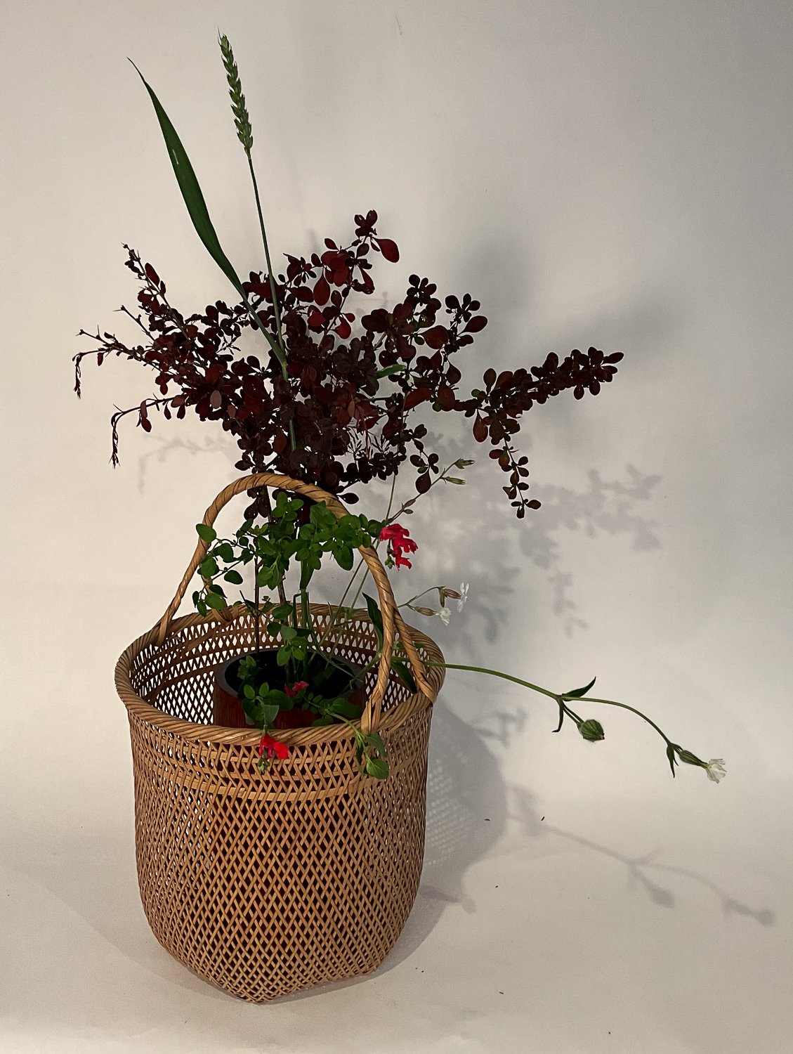 JZ134-D28x44cm-CGLL-4.jpg