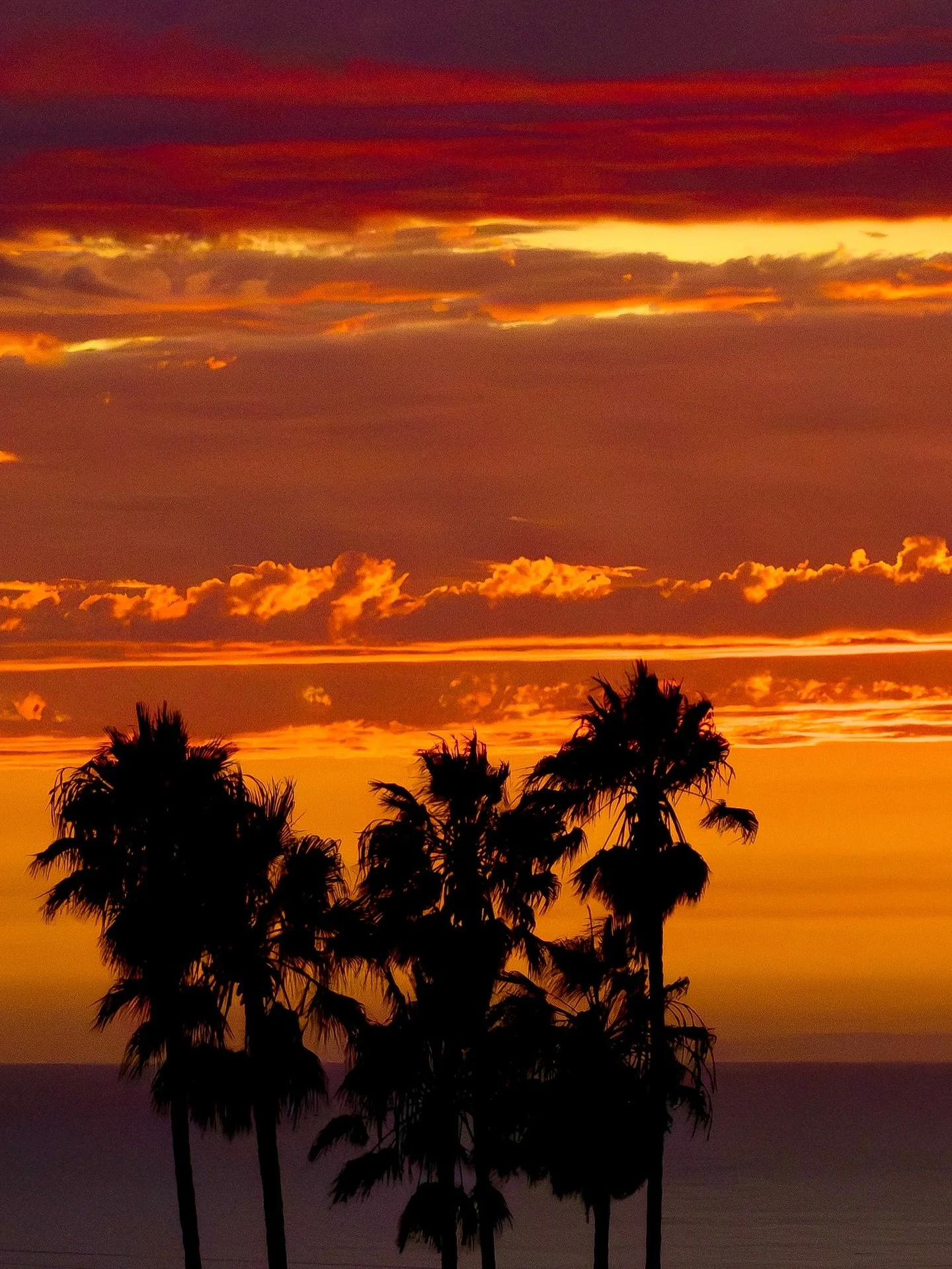 Enjoying the sun ☀️