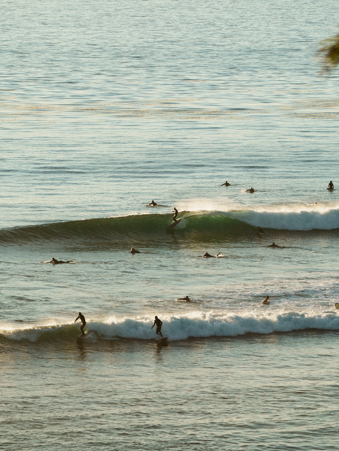 Sneaking in a few before dark 🌴🏄&zwj;♂️🌅