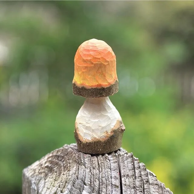 Couple of new things: branch mushroom carving, and a pink/black glow M3 Sierra pencil. Saw a video the other day about making a mushroom carving using random branches, and I just so happen to have random branches.
-
As for the M3 pencil, that junk is
