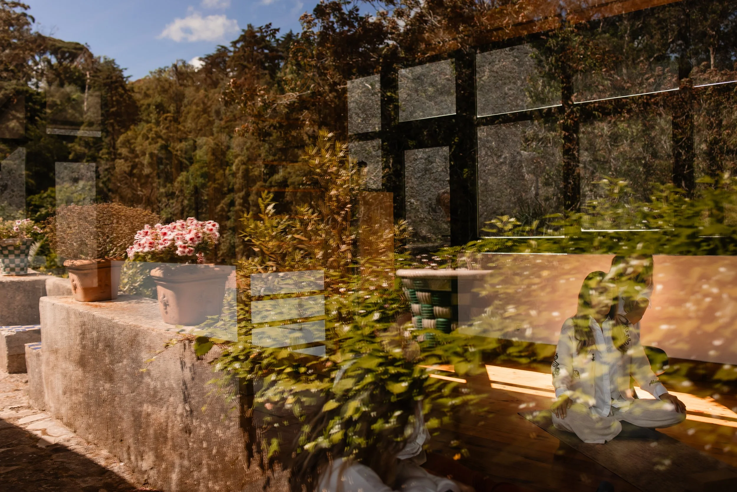 A garden with potted plants and flowers seen through a glass window with reflections of trees and a person sitting on the ground.