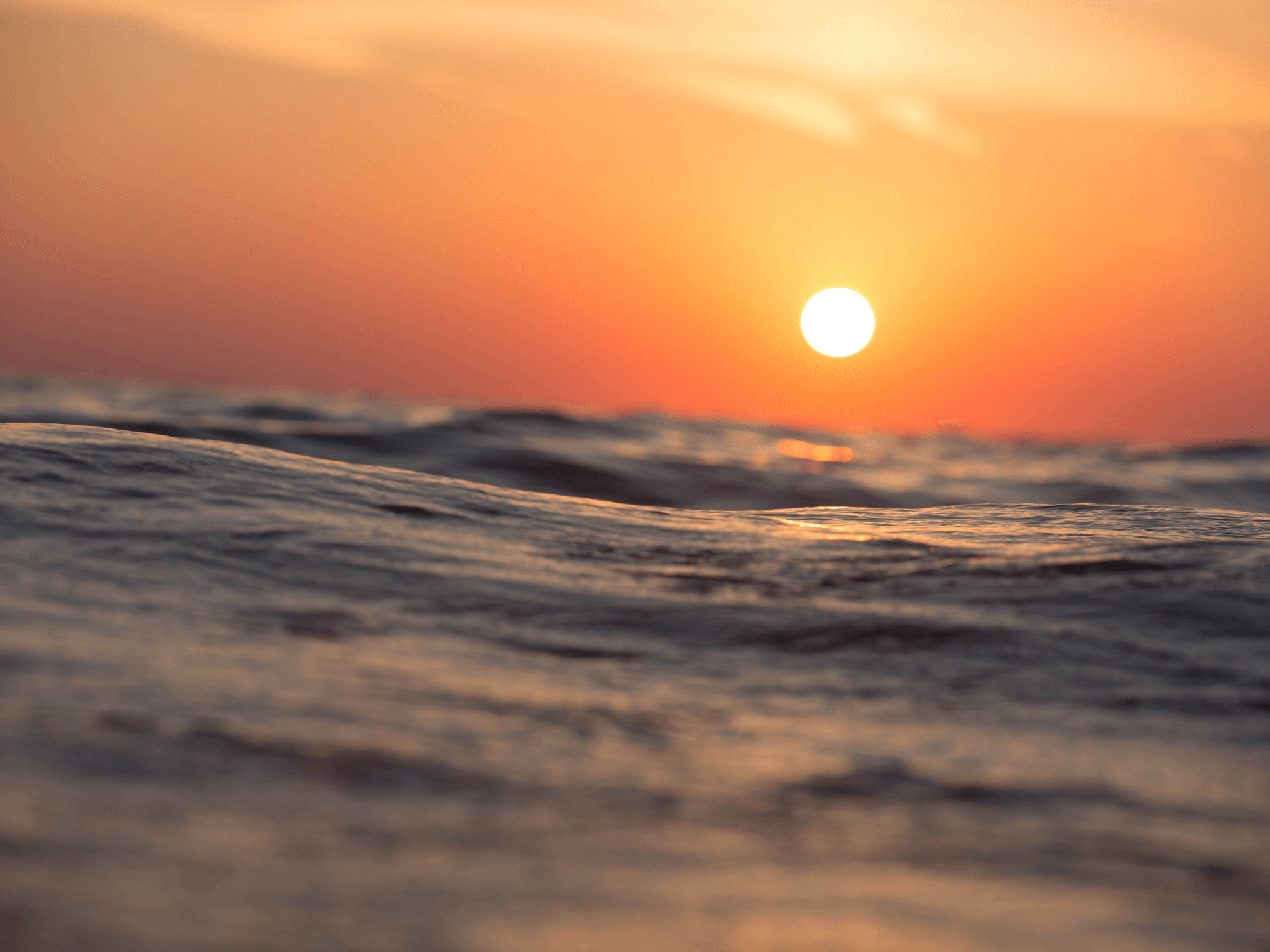 Back to Back Athletes.png