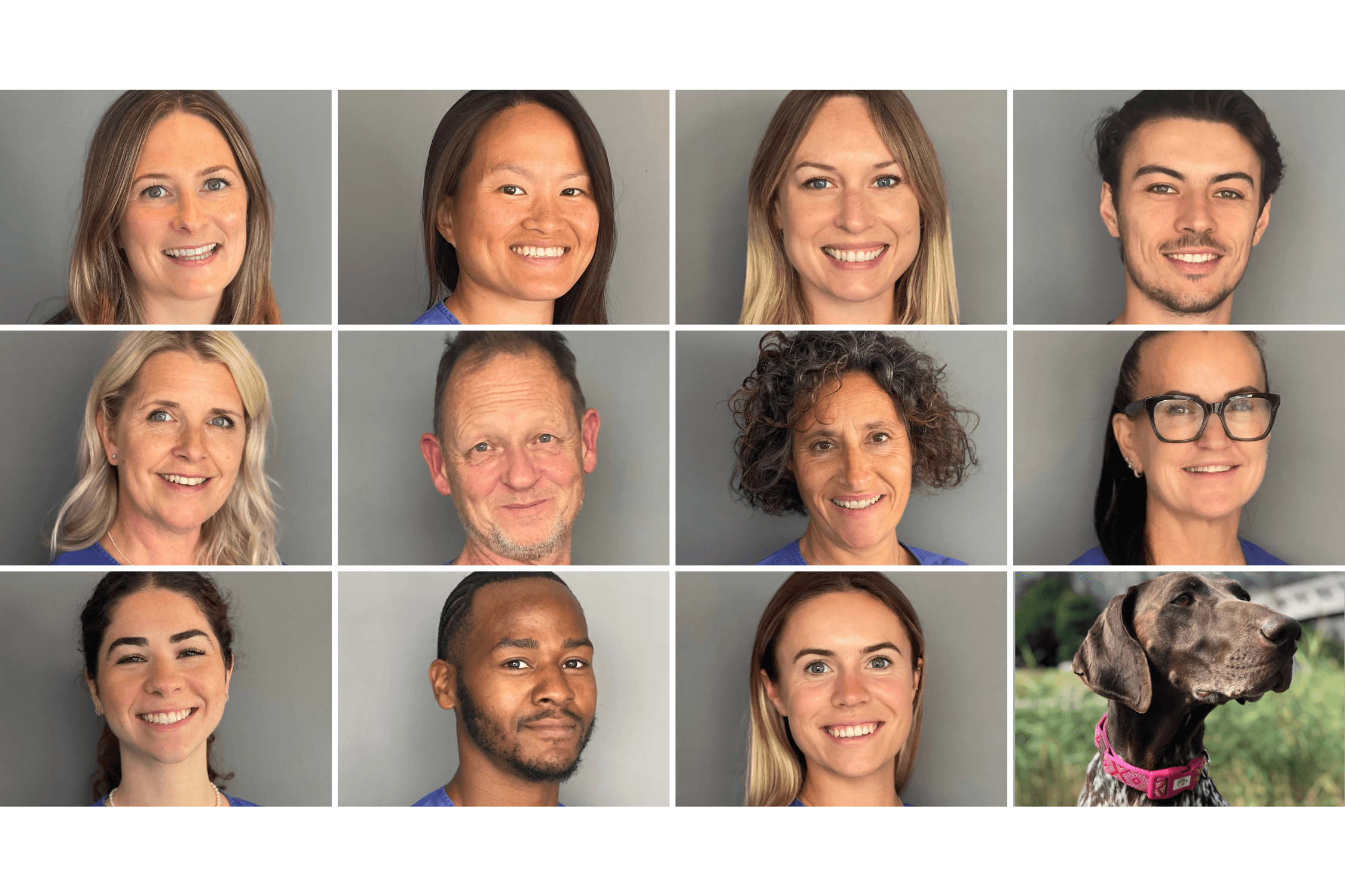 Back to Back 432 Team.png