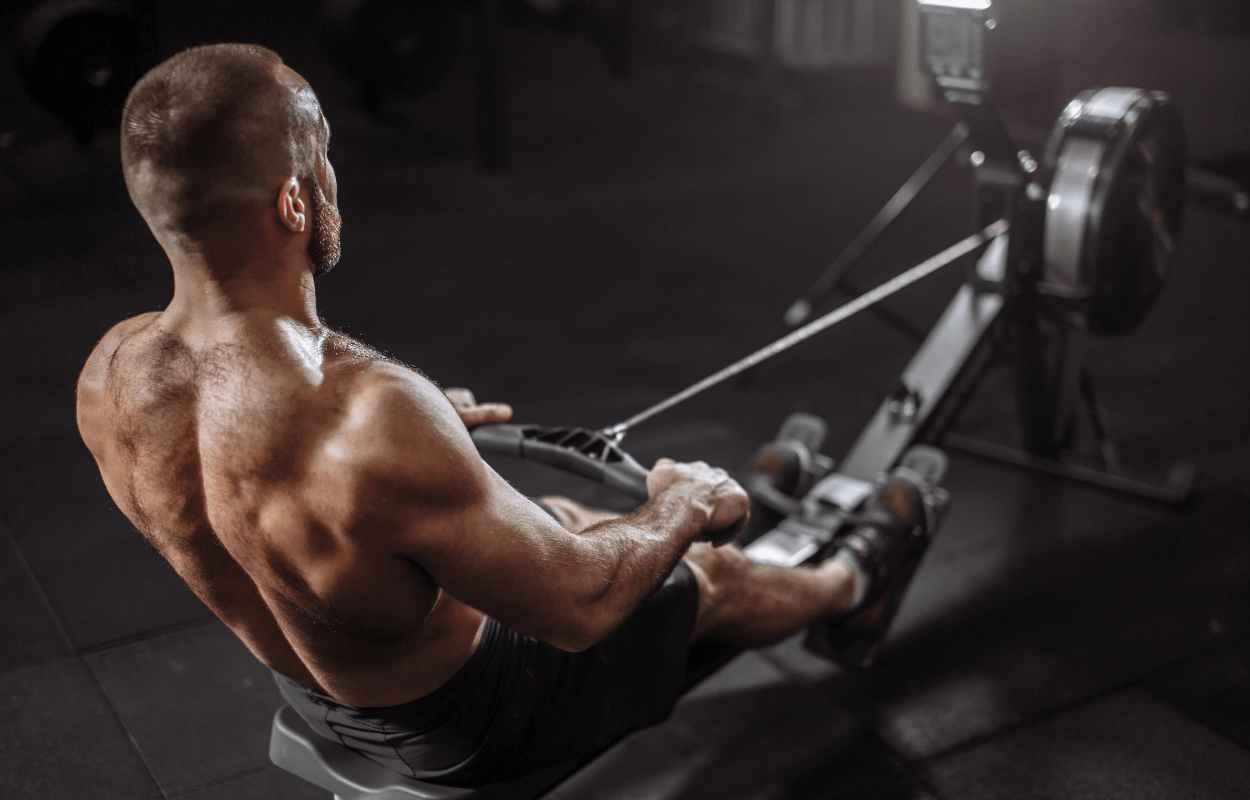 Functional Exercise and Training β The Why and the What! β Back To Back