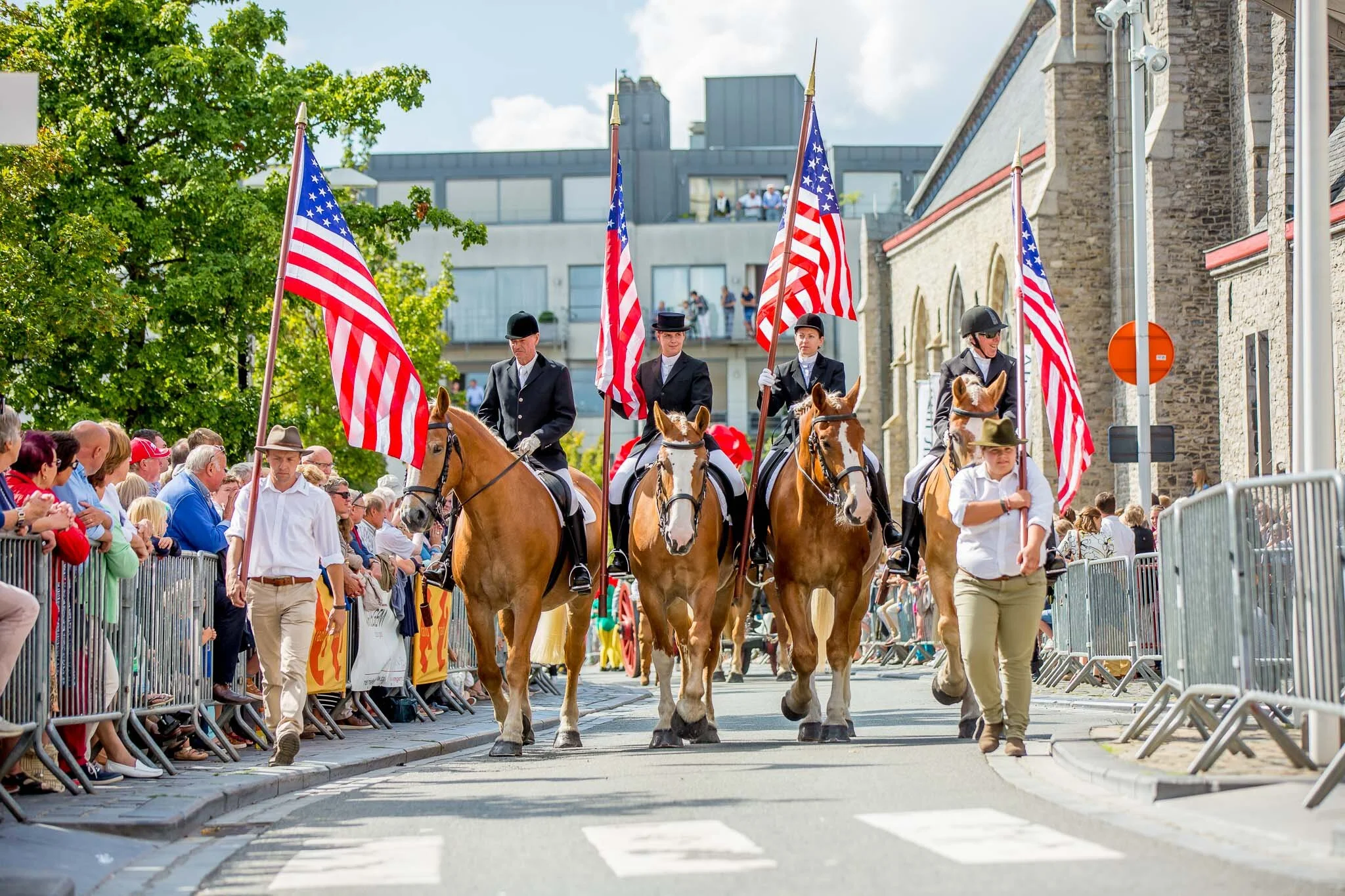 Parade van het paard