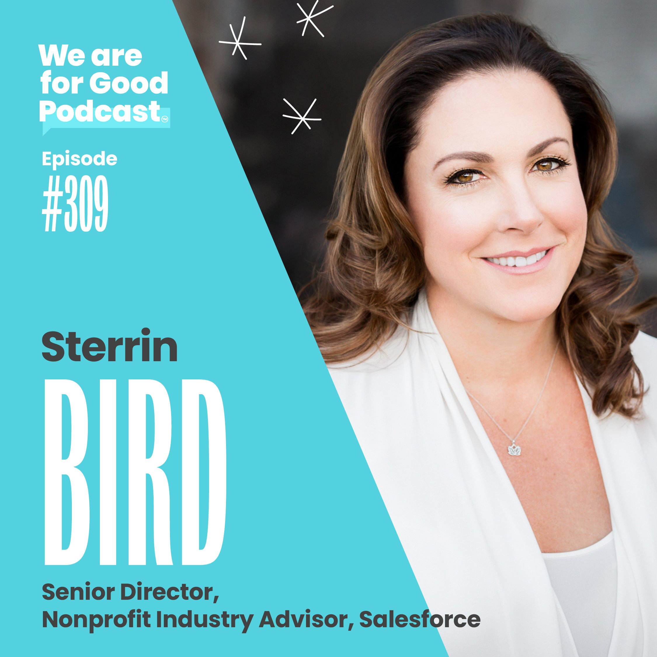 309. Driving Innovation in the Nonprofit Sector + What's Next for Capital Campaigns - Sterrin Bird
