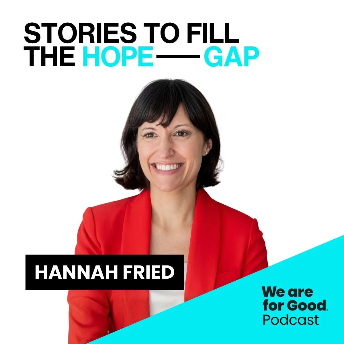 726. Stories to Fill the Hope Gap: Turning County-Level Wins Into National Change — Hannah Fried, All Voting Is Local