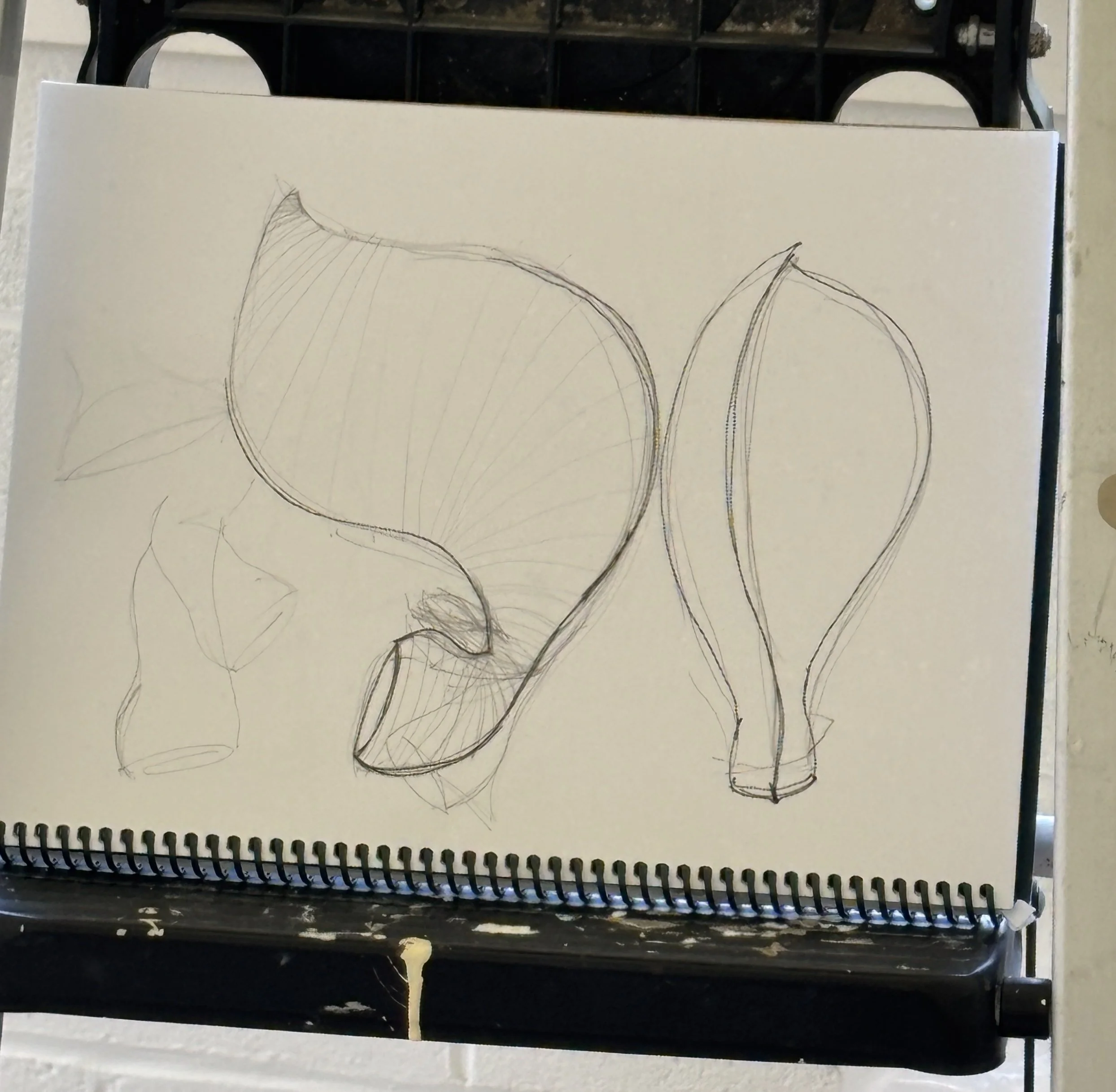 FullSizeRender 2.jpeg