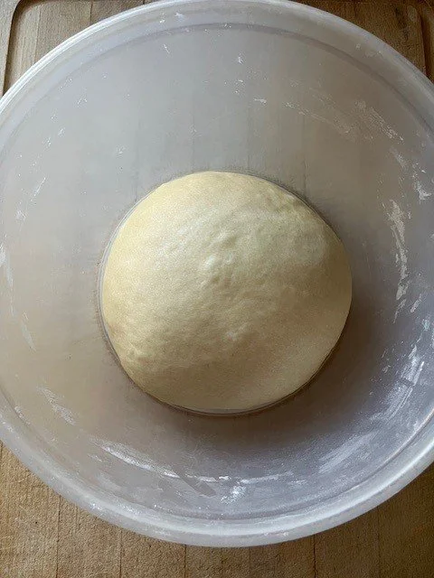 bread rising.jpg