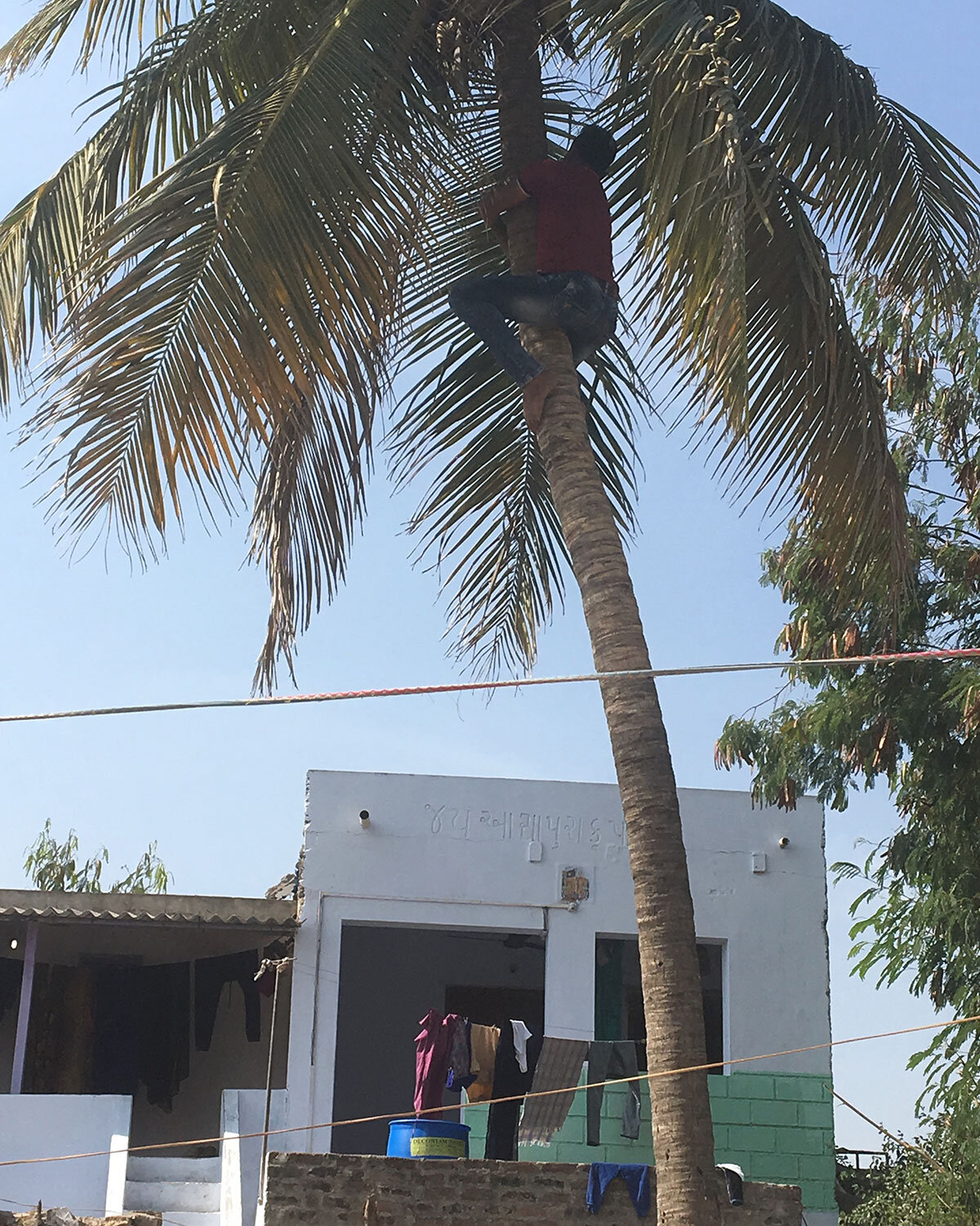 india-jamnagar-khakharda-village-03.jpg