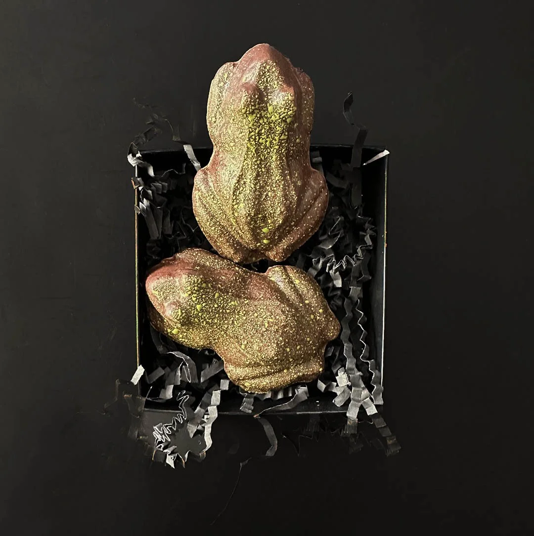 2 frankenfrogs-B4B4-4AF7-9992-4E956A9F7B3E_1_201_a.jpg