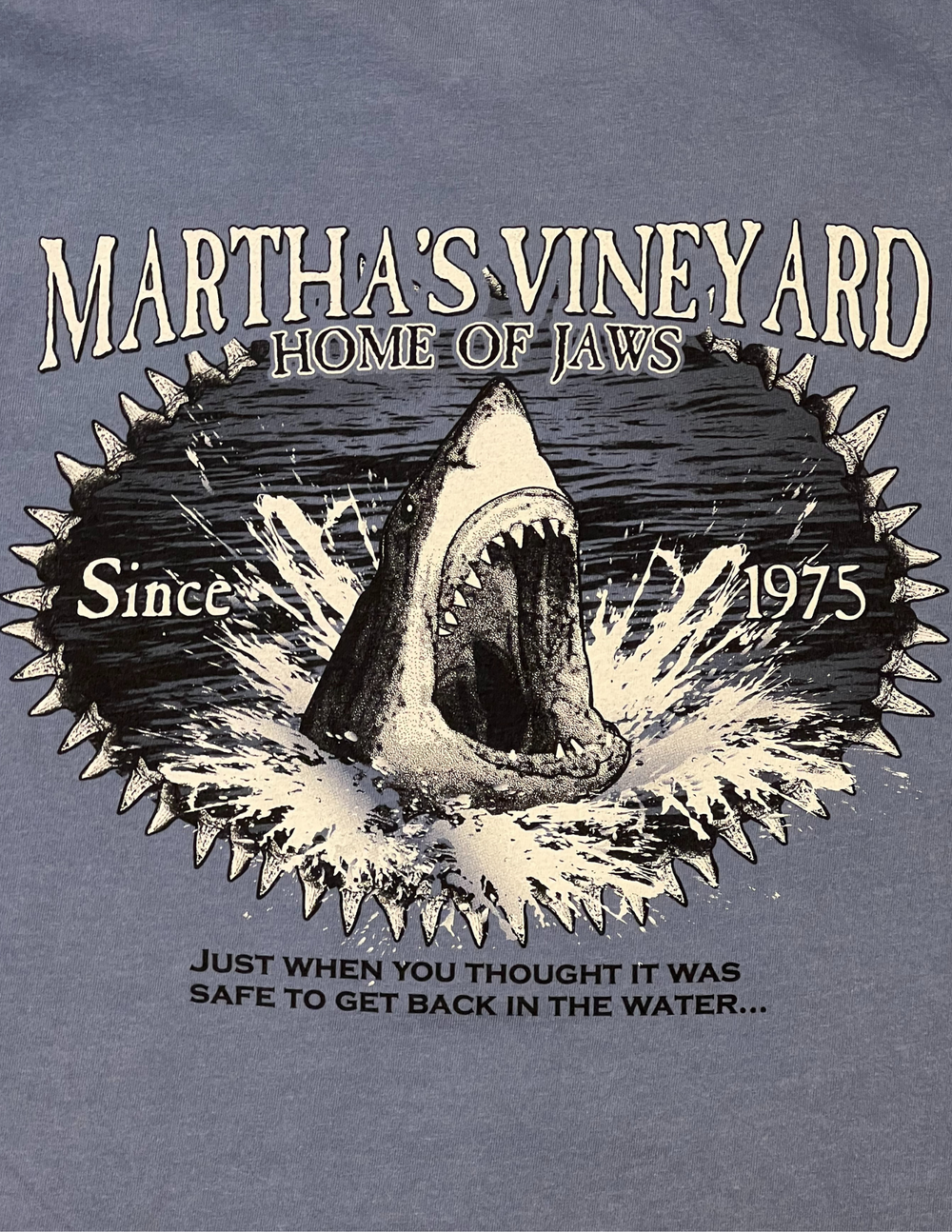 Sweat Vintage Hanes Martha’s Vineyard – Gris – Années 90 – Taille L