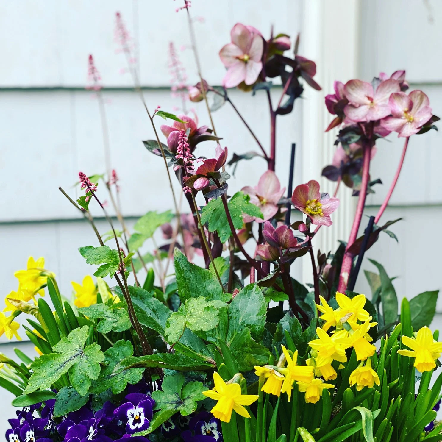 Cutting-Garden-New-Canaan-CT-Planter-Design2.jpg