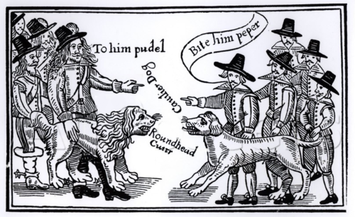 In the Shape of Dogs