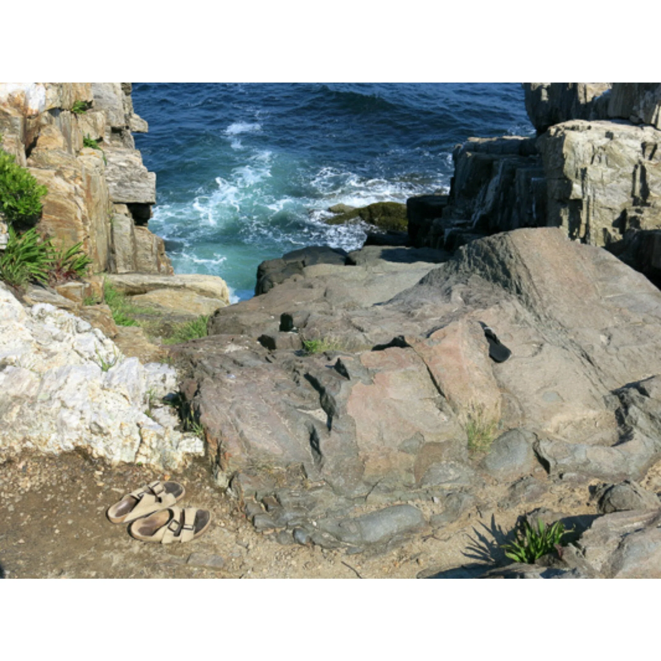 0036035 Maine Coast