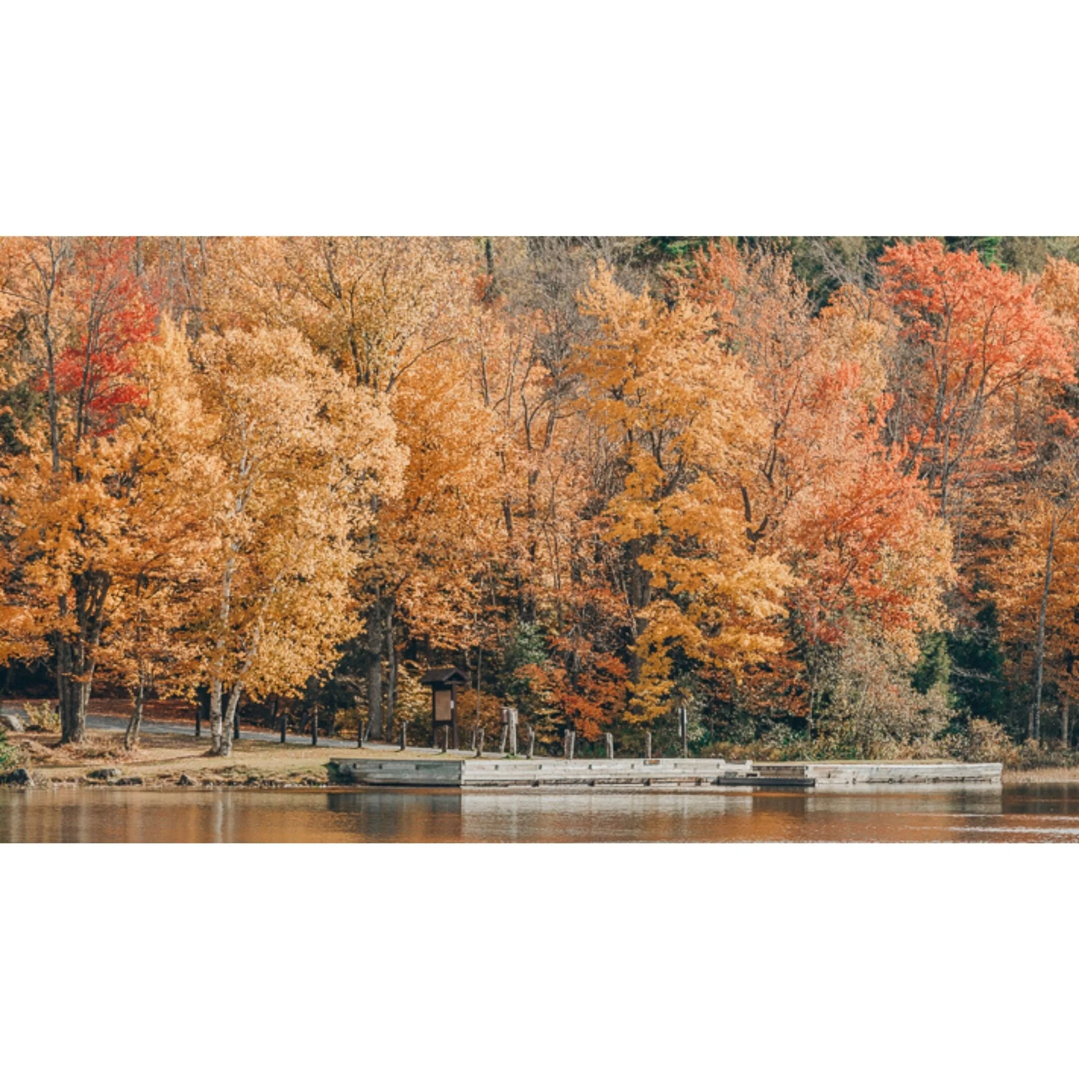 0037002 New York in Fall