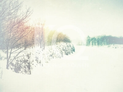Frozen River