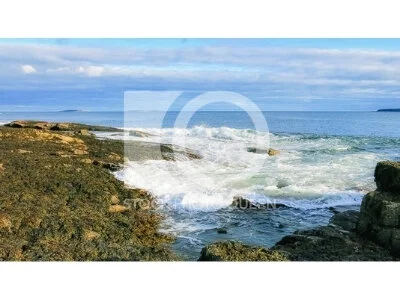 Maine Coast