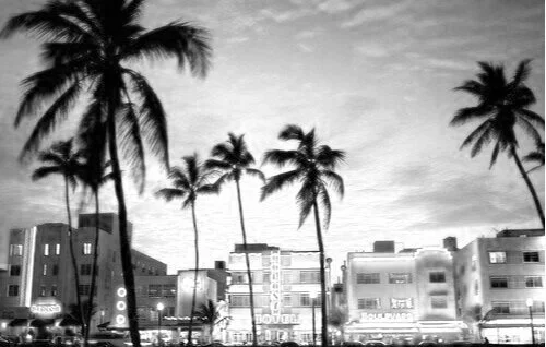 Miami Winter Music Conference