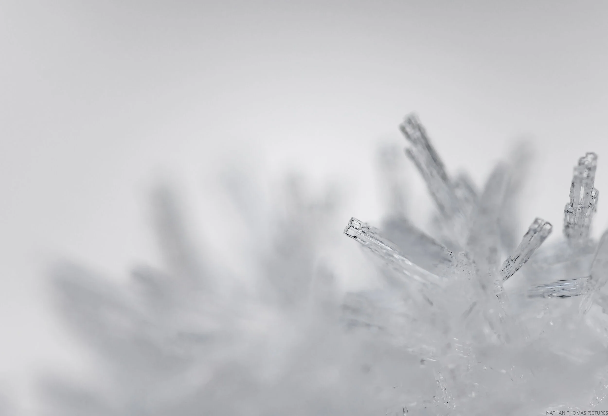 Nathan Thomas Pictures__NTP1529_Edited_by_NJ.jpg