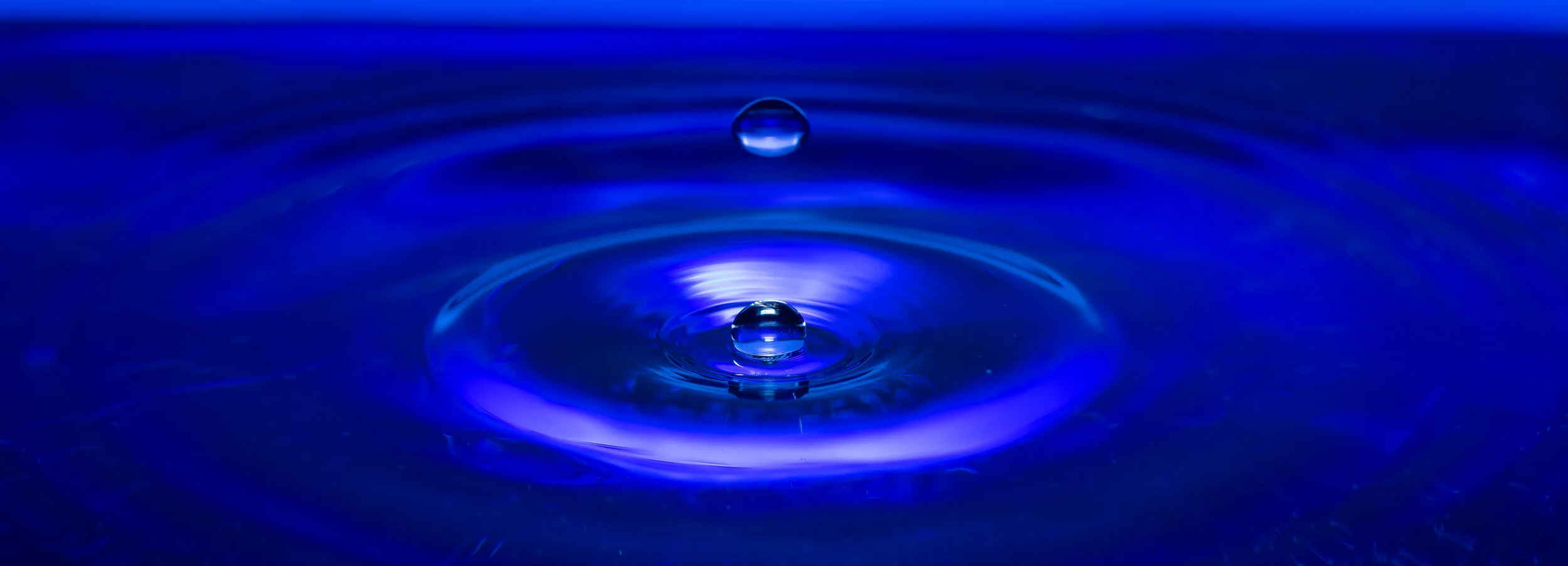 _NTP0708-Macro photography-SquareSpace.jpg