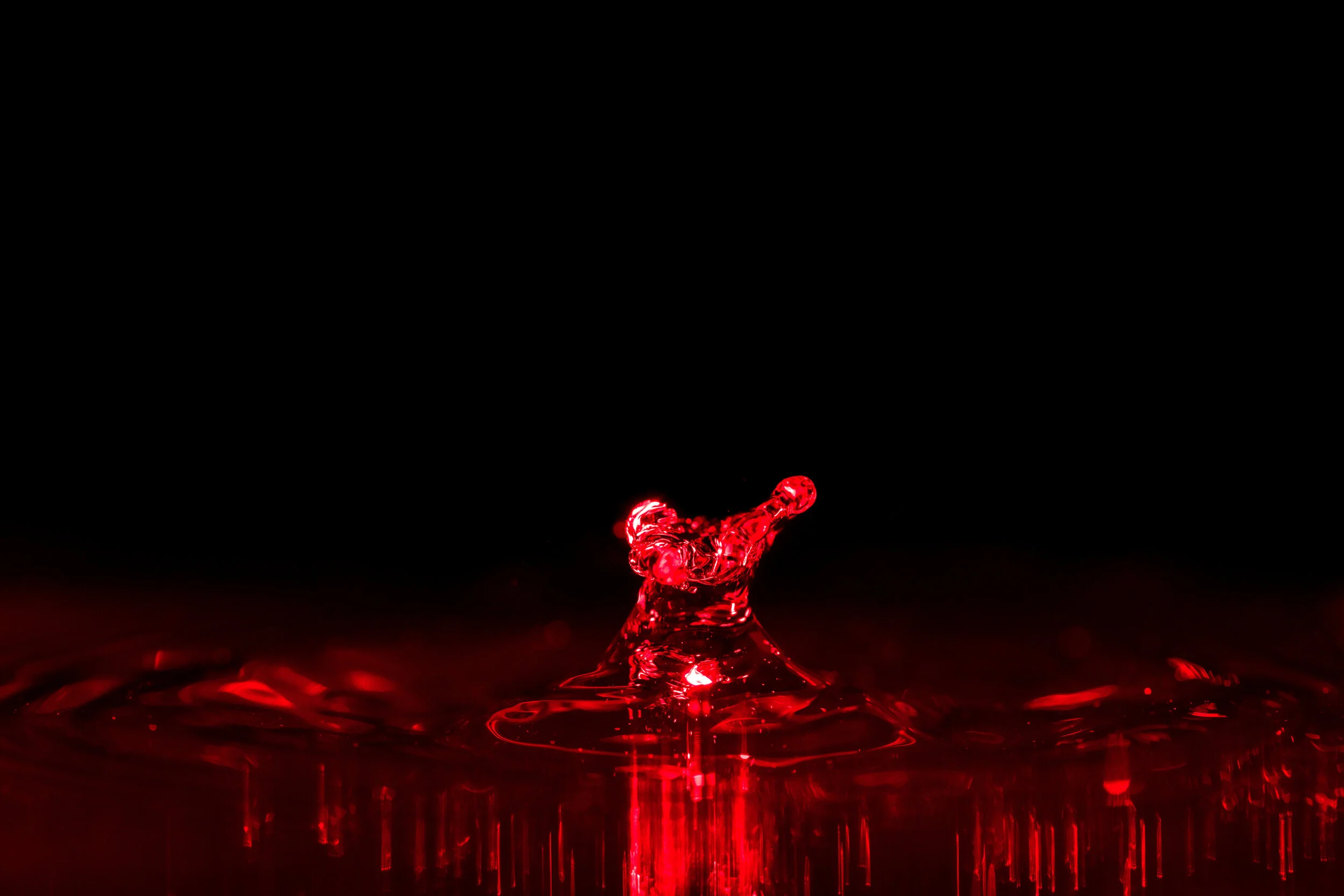 _NTP1026-Macro photography-SquareSpace.jpg