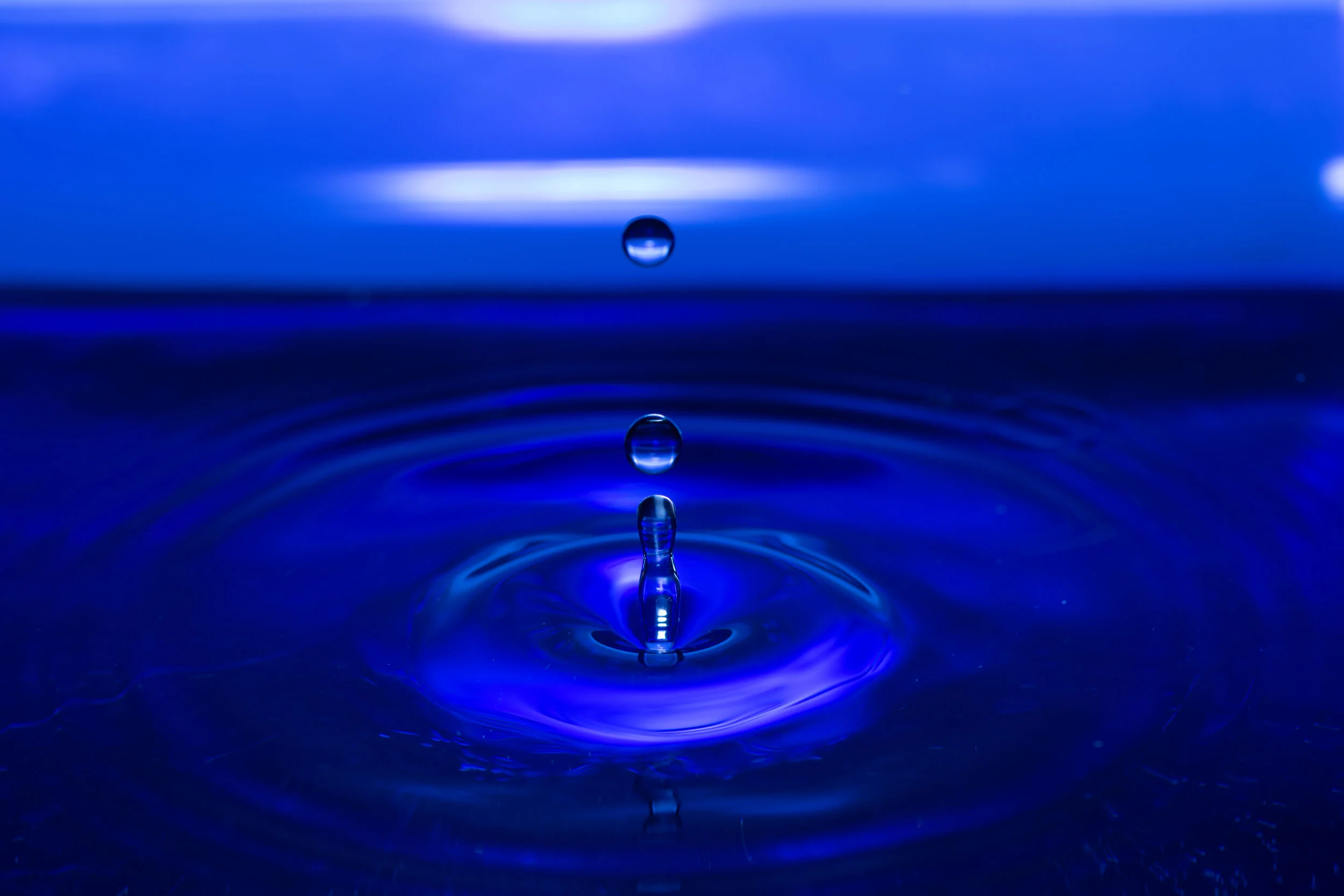 _NTP0626-Macro photography-SquareSpace.jpg