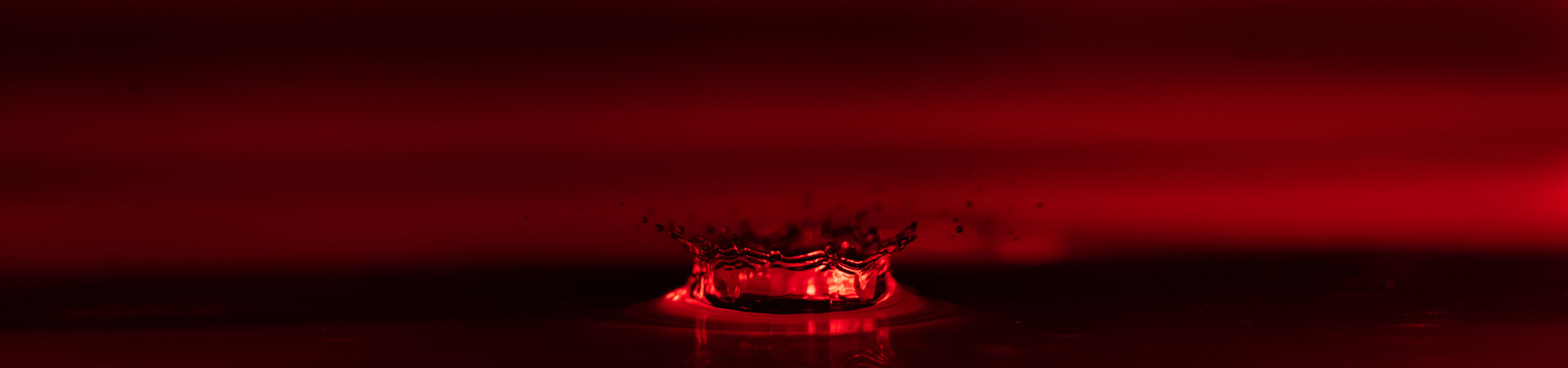 _NTP1071-Macro photography-SquareSpace.jpg