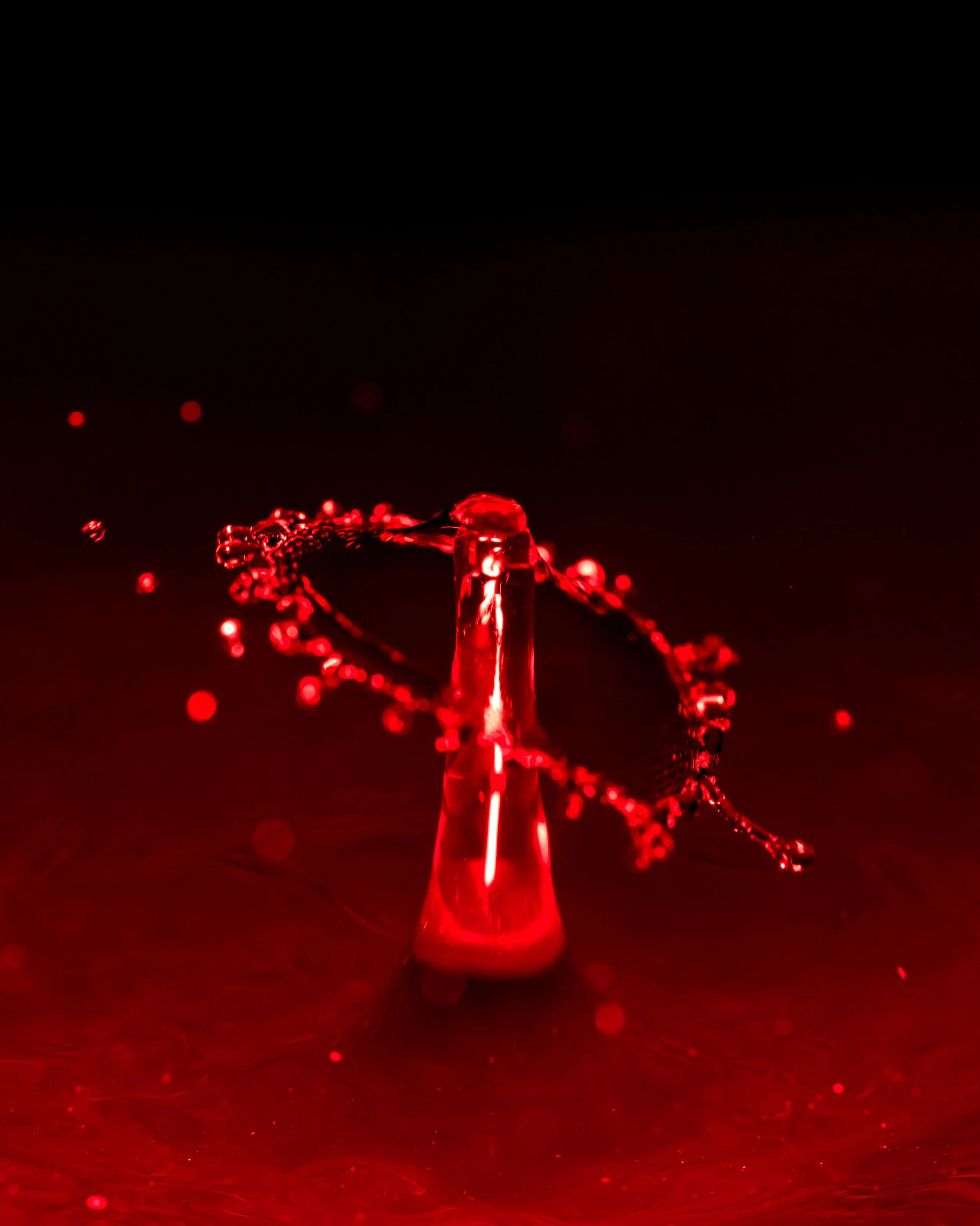 _NTP1250-Macro photography-SquareSpace.jpg