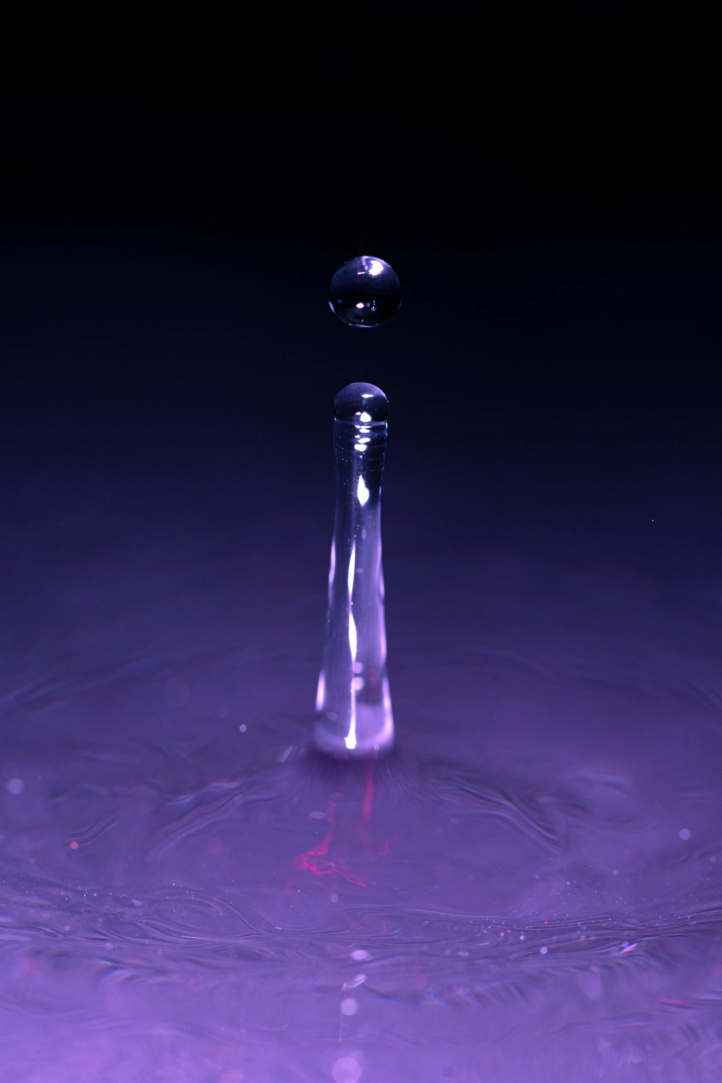 _NTP1323-Macro photography-SquareSpace.jpg