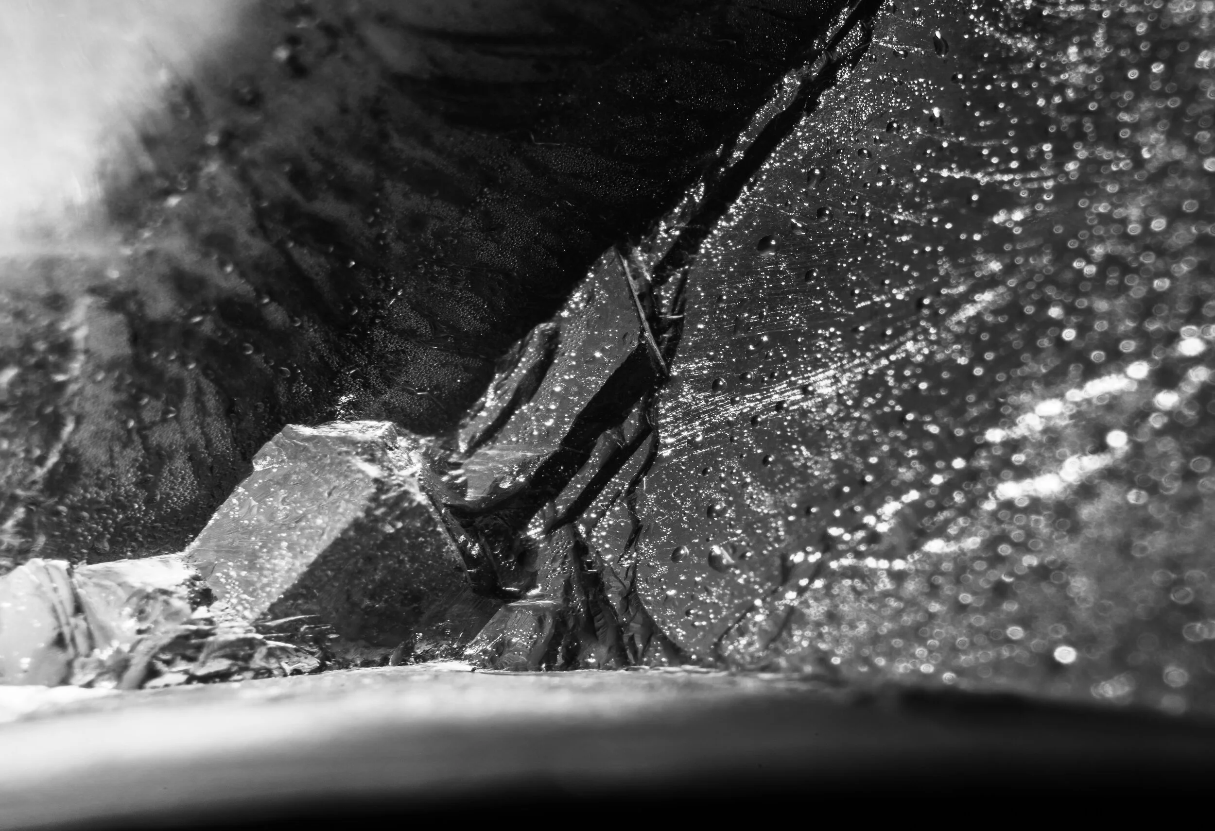 _NTP3325-Macro photography-SquareSpace.jpg