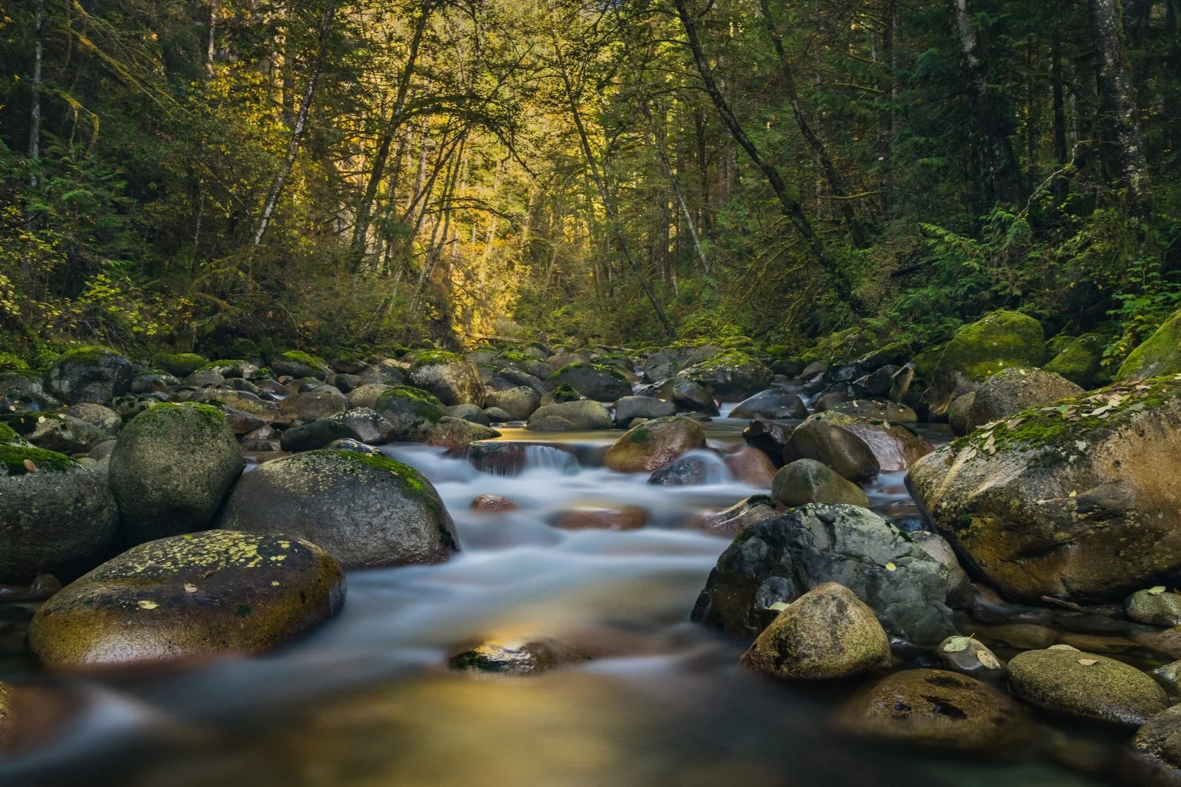 Large JPG-Aro Ha_0428.jpg