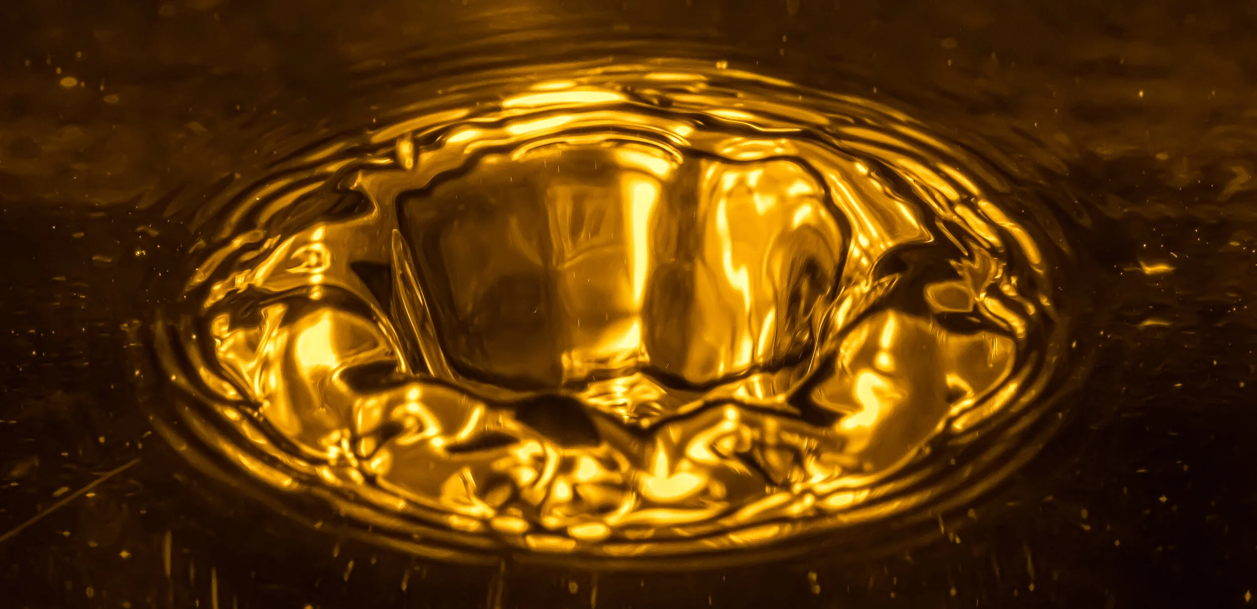 _NTP1780-Macro photography-SquareSpace.jpg