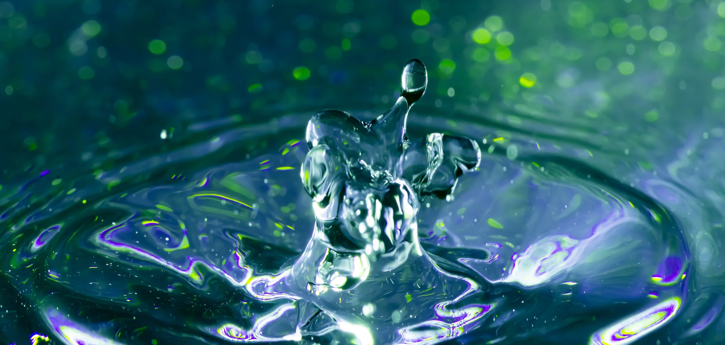 _NTP1664-Macro photography-SquareSpace.jpg