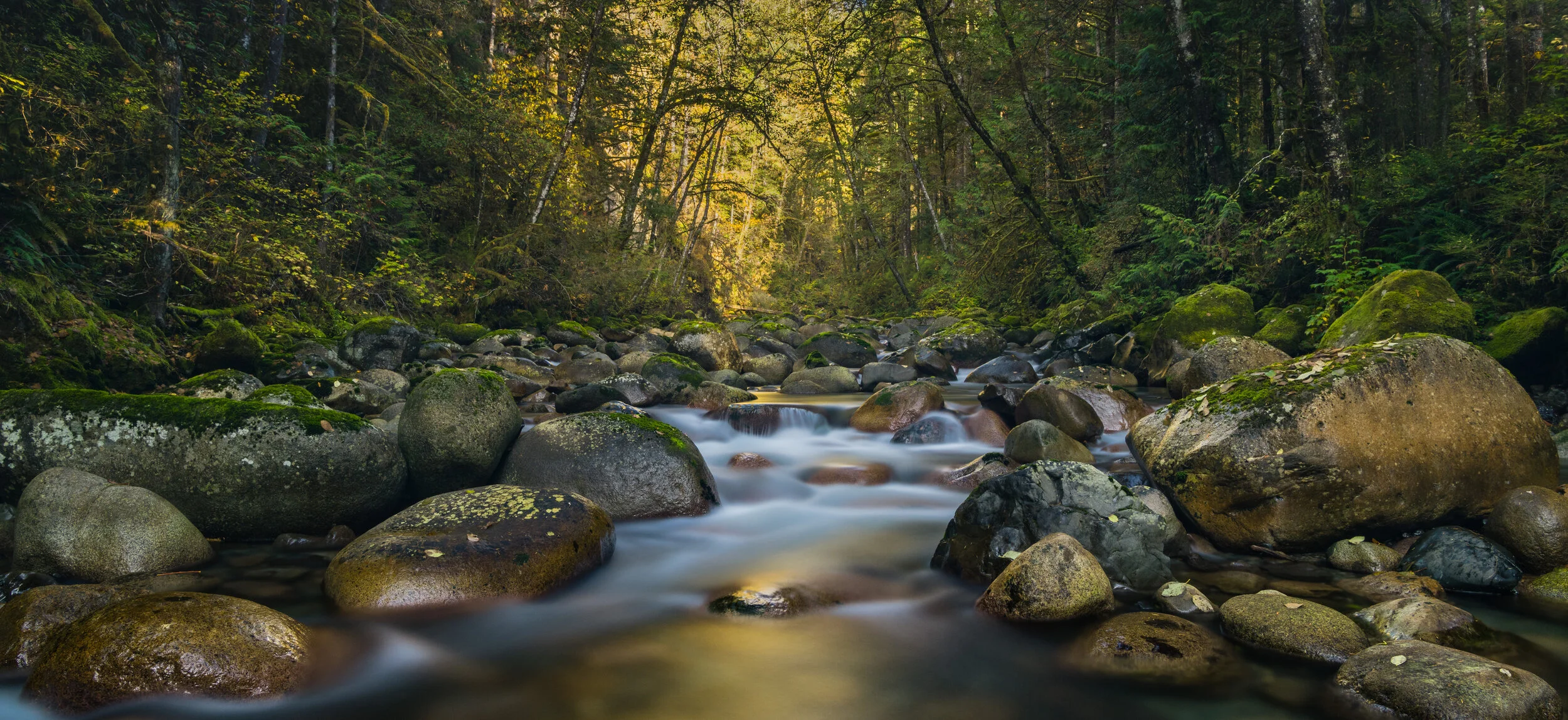 NTP_0549-HDR-Landscapes (Edmonds, Seattle, other)-SquareSpace.jpg