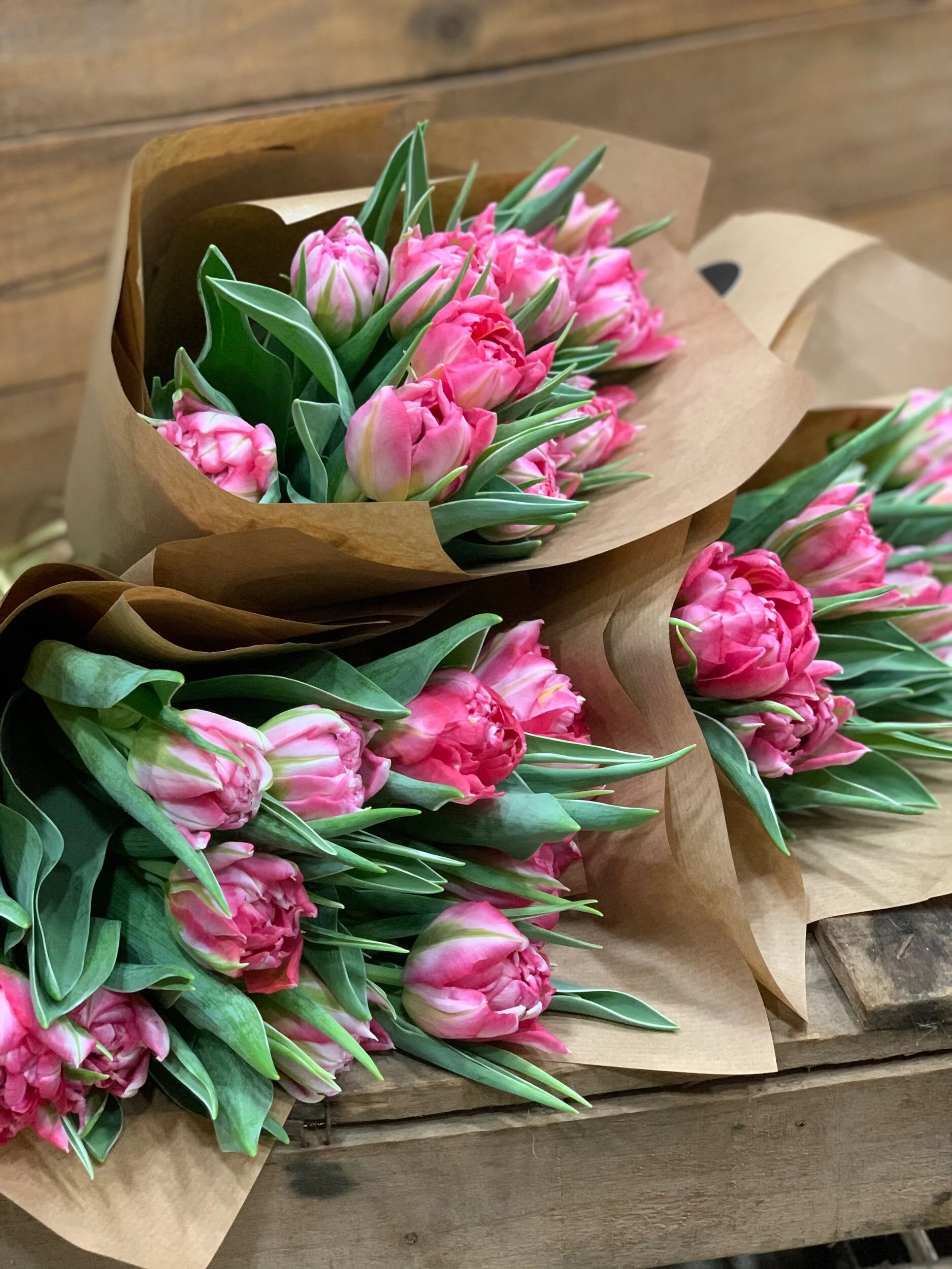 7996D63F-6B0B-4FBD-9F99-7EAD68DFBE60