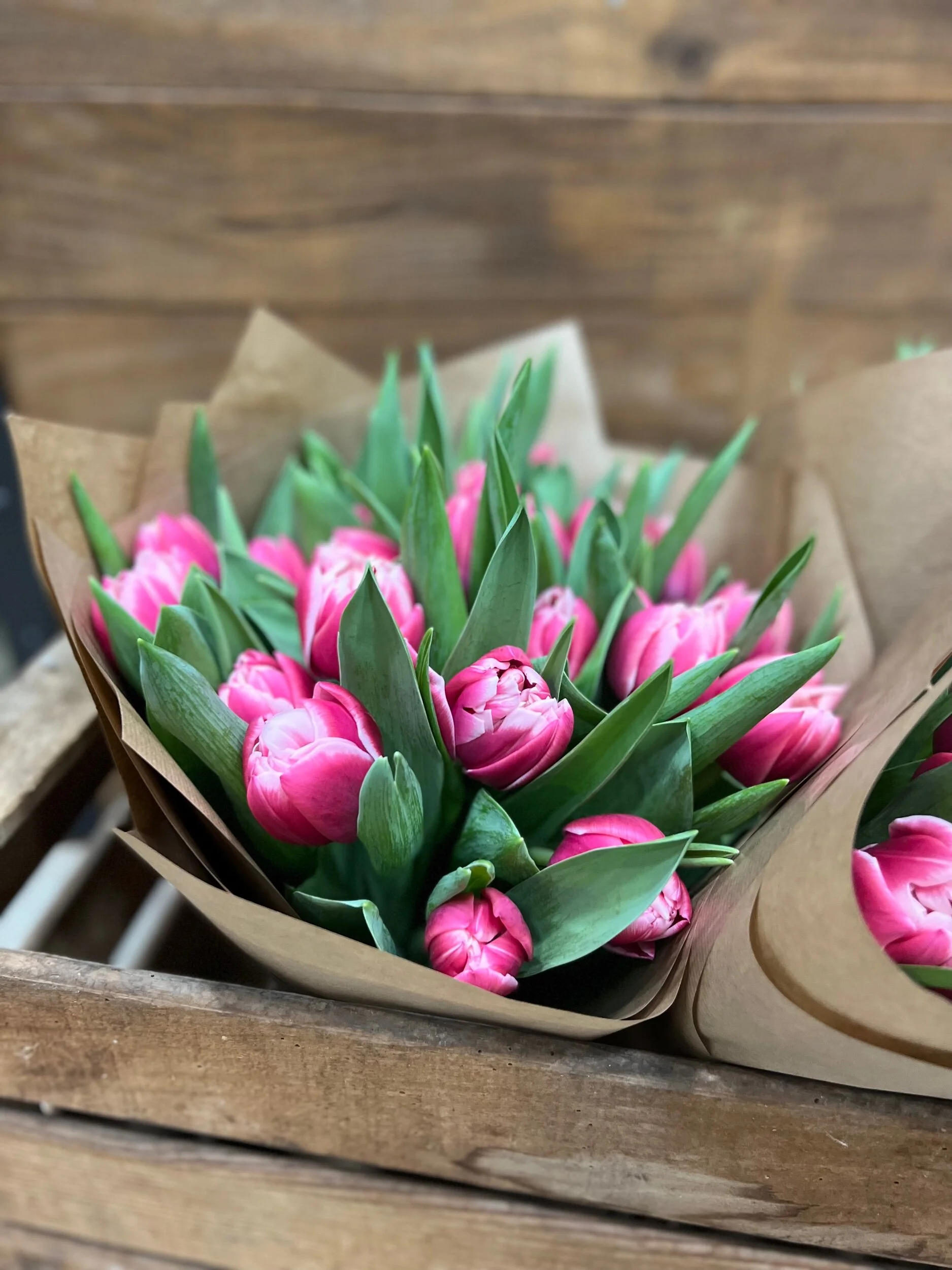 14D21FC7-9804-4CF0-A580-308B6E86799F