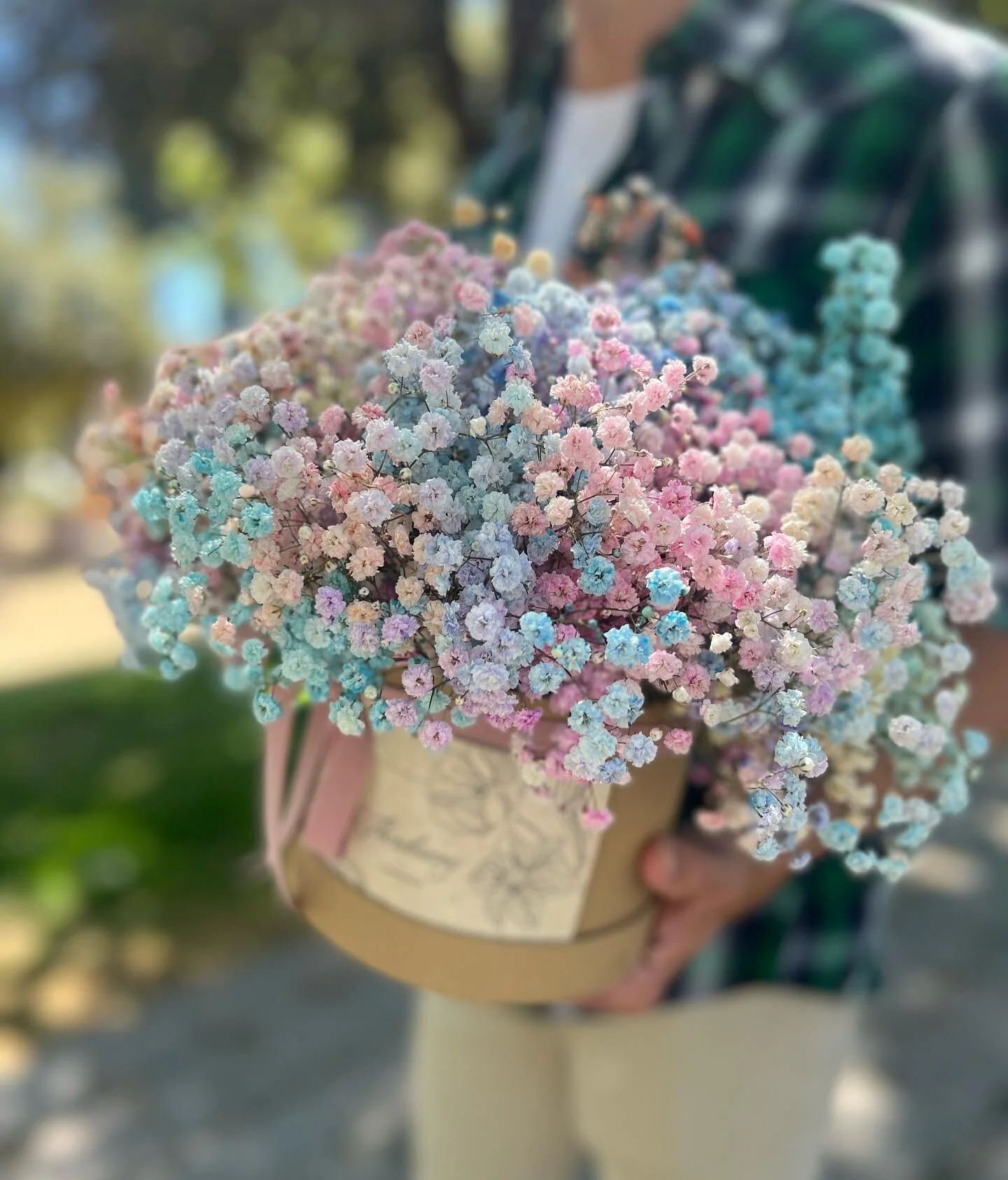 3636CE0B-9777-46D2-BE3C-1ADCC0A11852