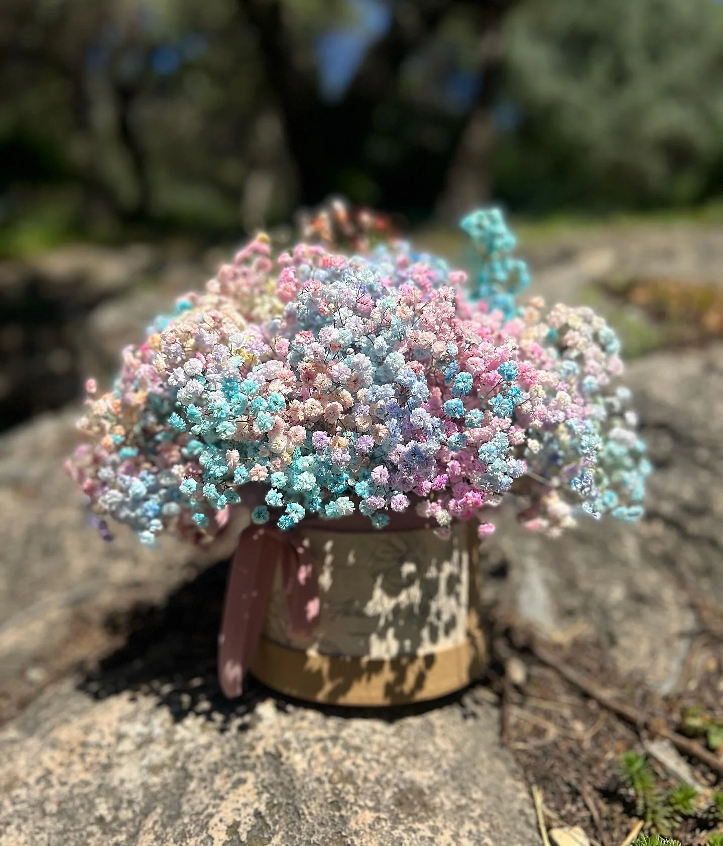 FA2F8145-0C05-40B0-8C69-484E97BE1B7B