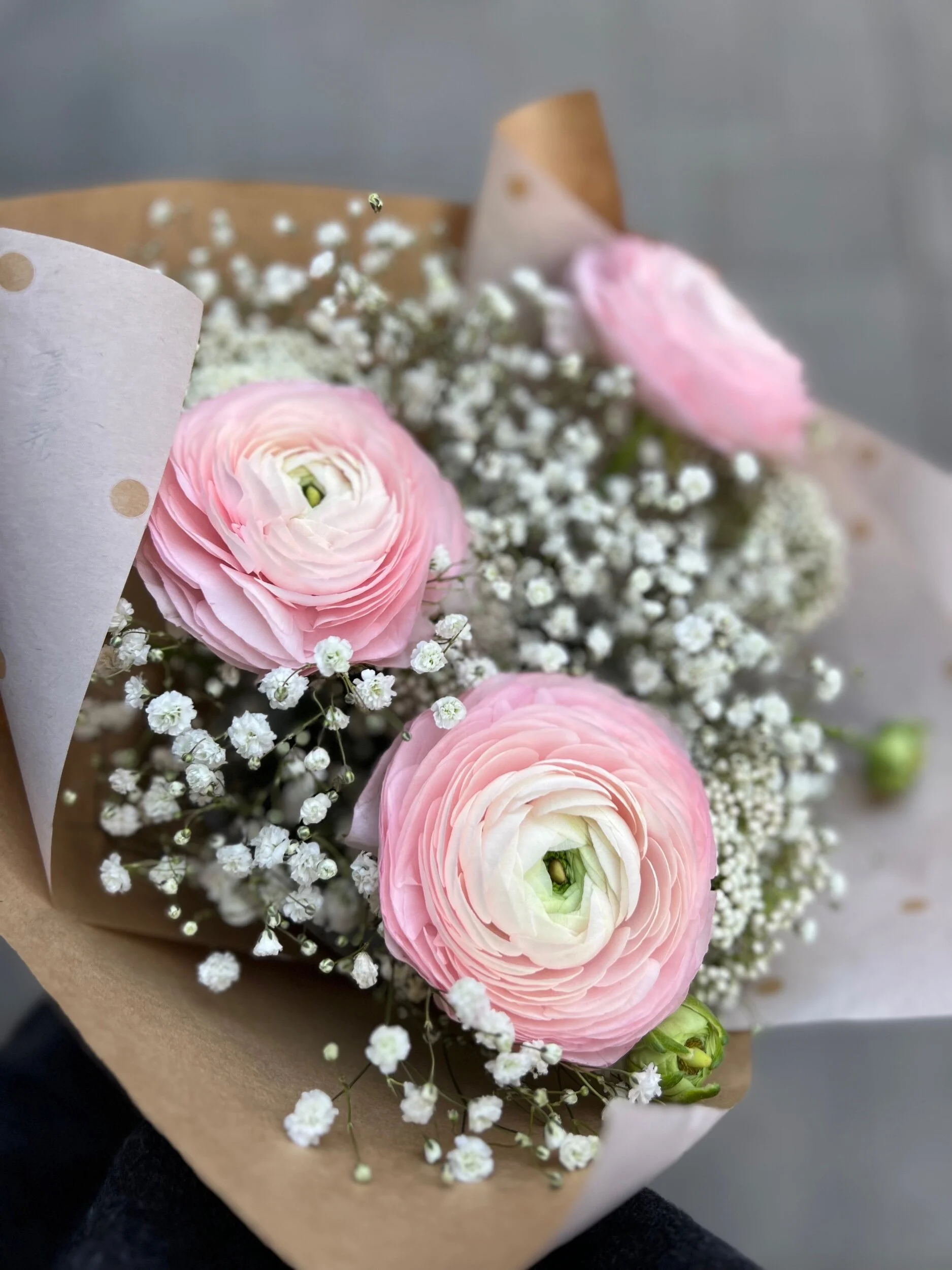 FDC0E97D-3682-4CED-A95B-64BEAF1D8489