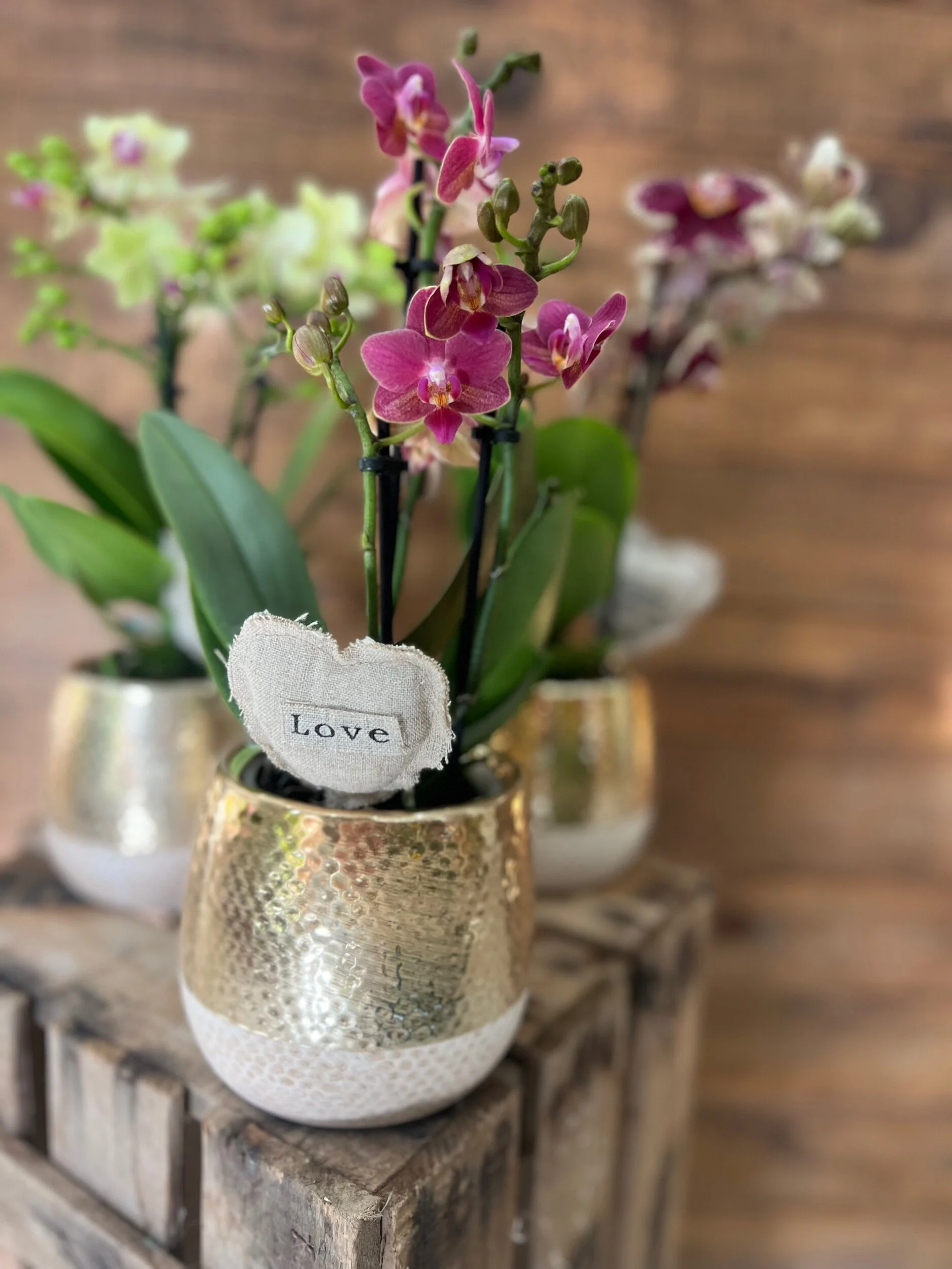 1CE1CDDD-7EE3-4035-883B-5DB2D6373431