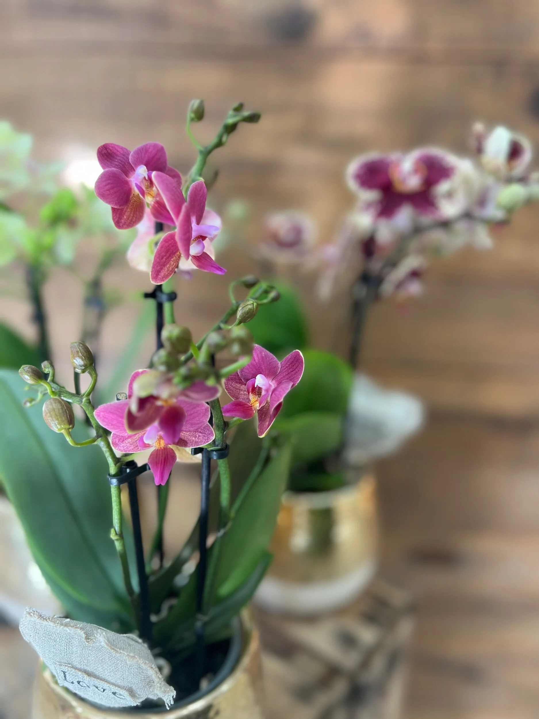 A0E61BCD-E092-4FE0-9661-7C0B1EC9FB13