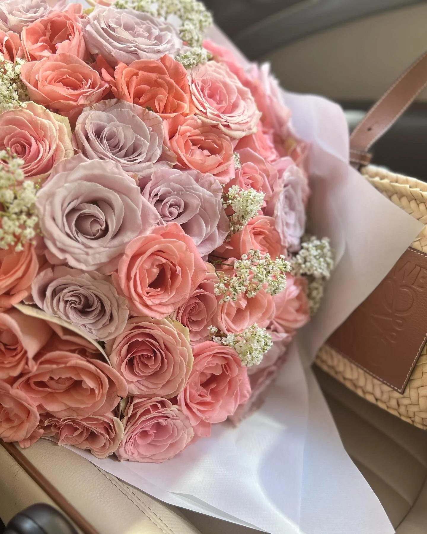 10F2CF1F-5FD2-4F90-AEC4-25FB6A6179DB