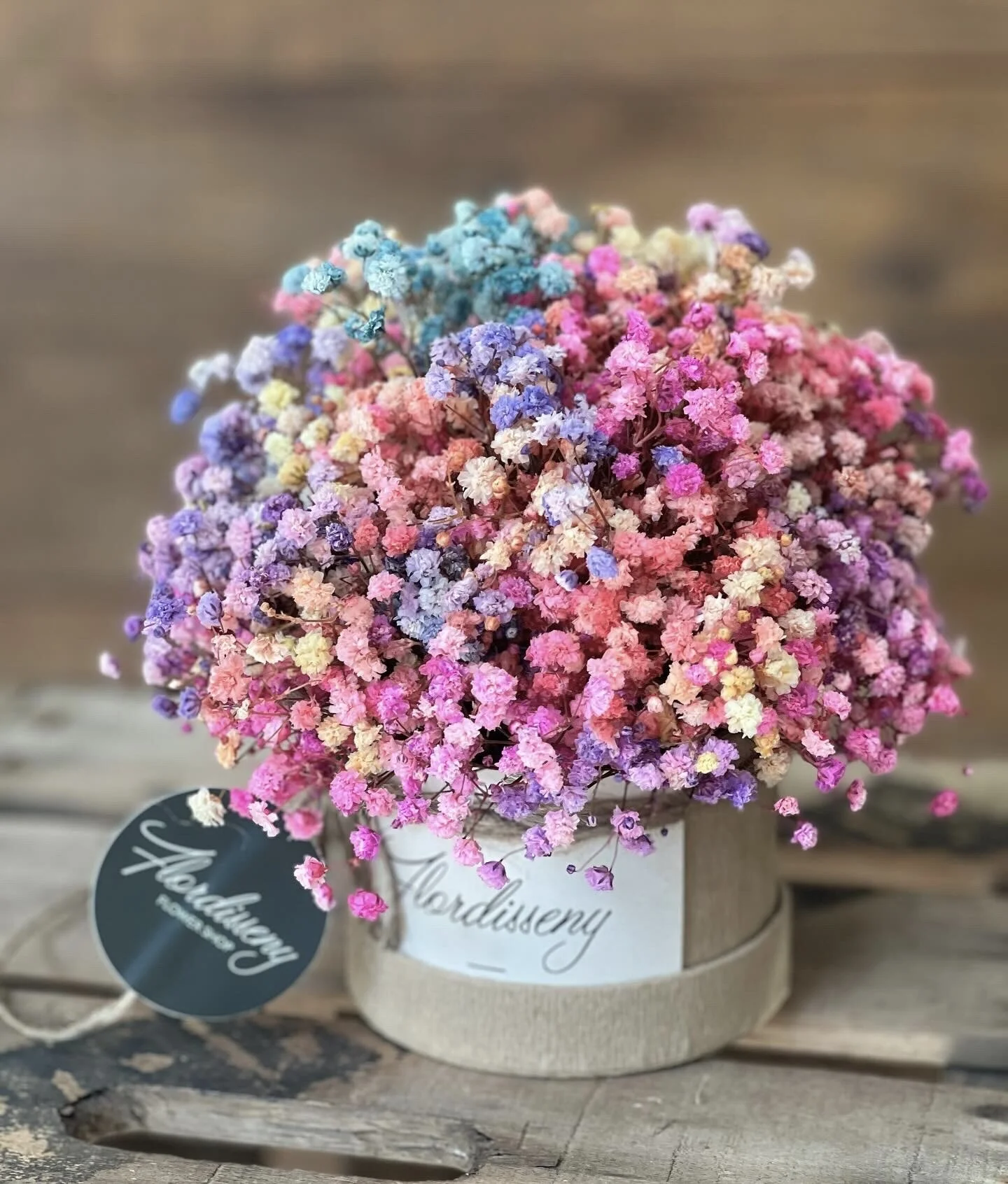 048636F7-FF40-4FCF-B04B-40E56DE88B2C