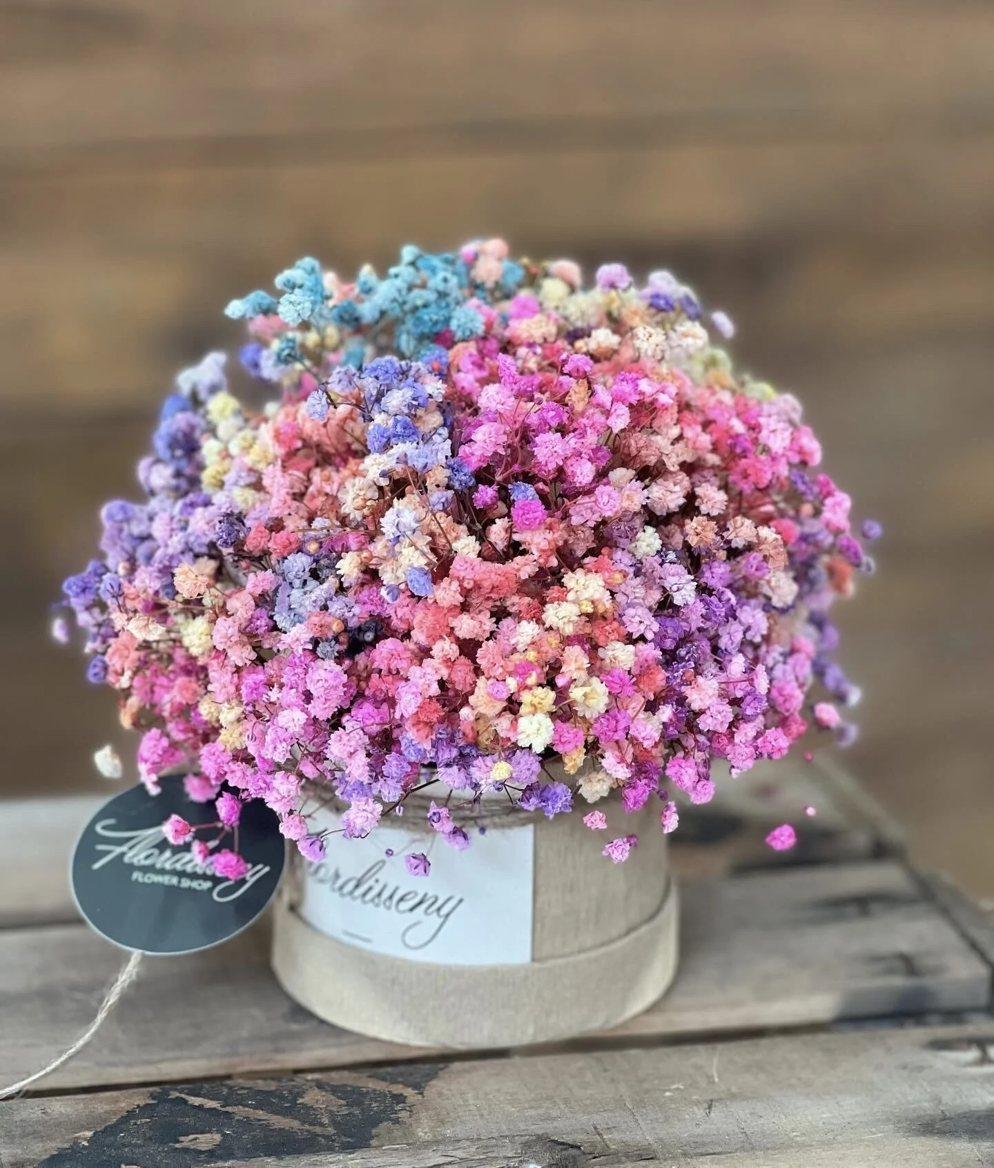 1E29CE8E-77D3-469E-9C0F-E9B35837956B