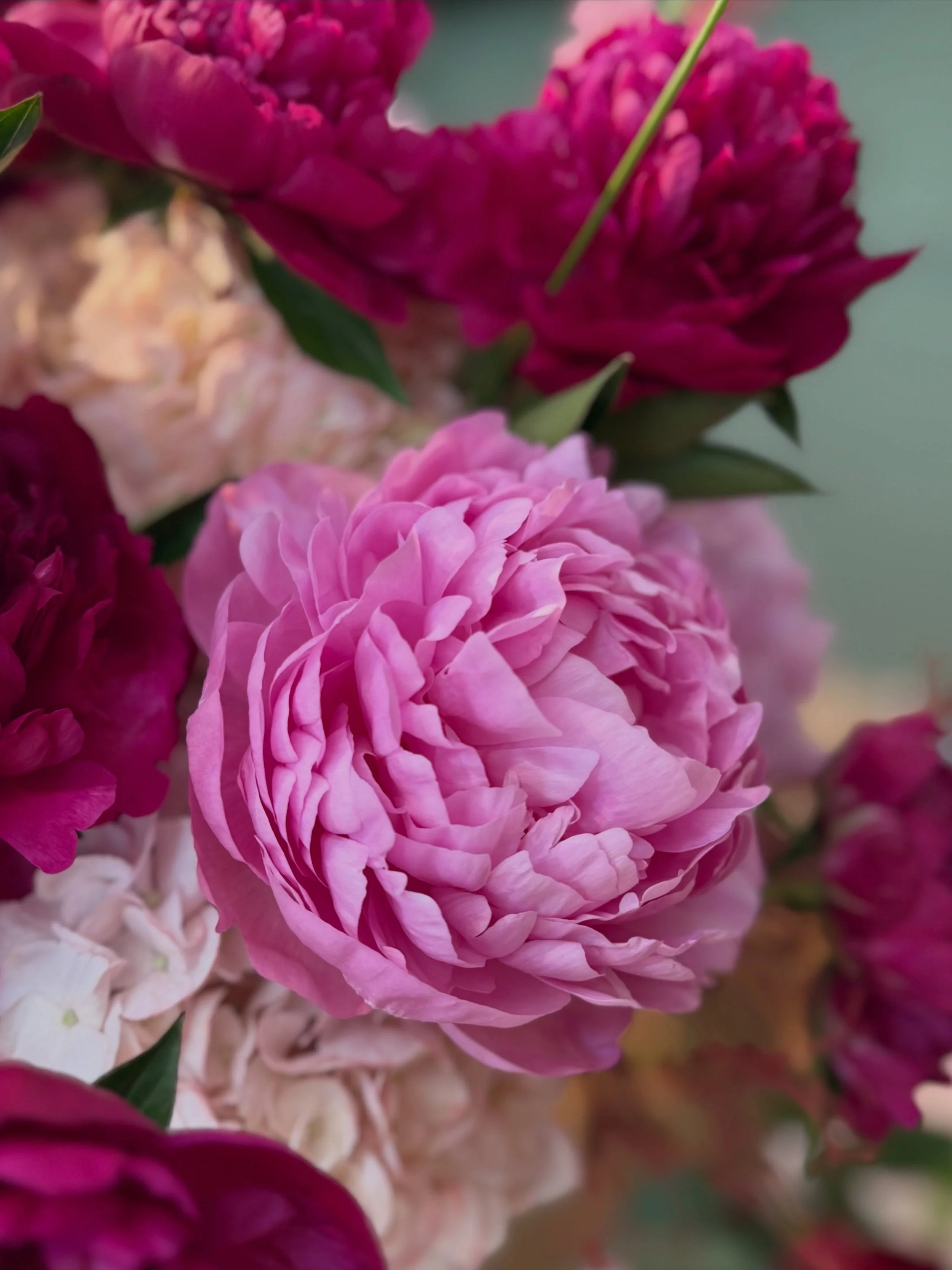 Qu&eacute; suerte tenemos! 💕
Cada pedido que sale de Flordisseny lleva un pedacito de nuestra ilusi&oacute;n. Nos emociona formar parte de vuestros cumplea&ntilde;os, aniversarios, sorpresas y de todos esos momentos que merecen ser recordados con fl