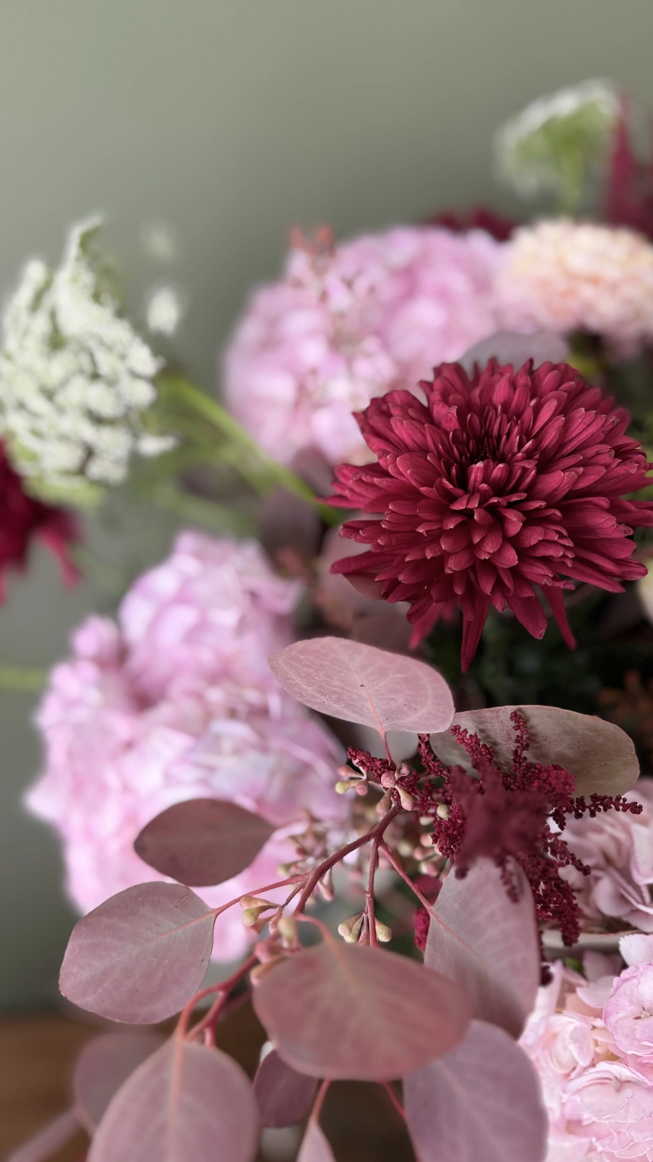IMG_3254.jpeg